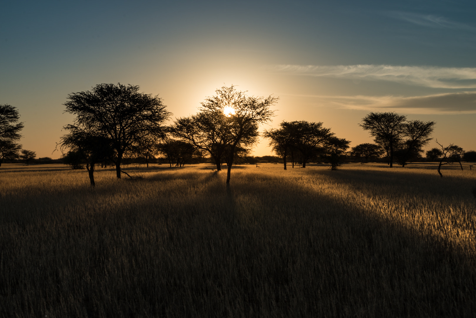 Sigma 50-500mm F4.5-6.3 DG OS HSM sample photo. Namibia photography