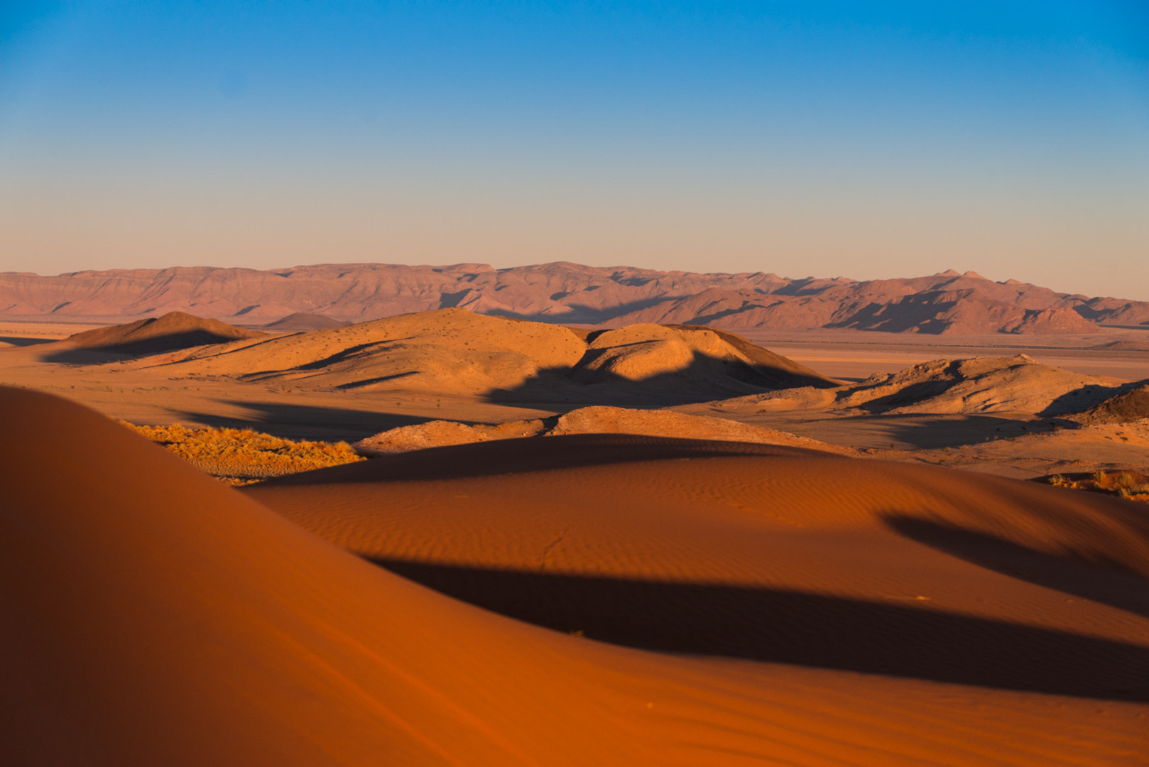 Sigma 50-500mm F4.5-6.3 DG OS HSM sample photo. Namib photography
