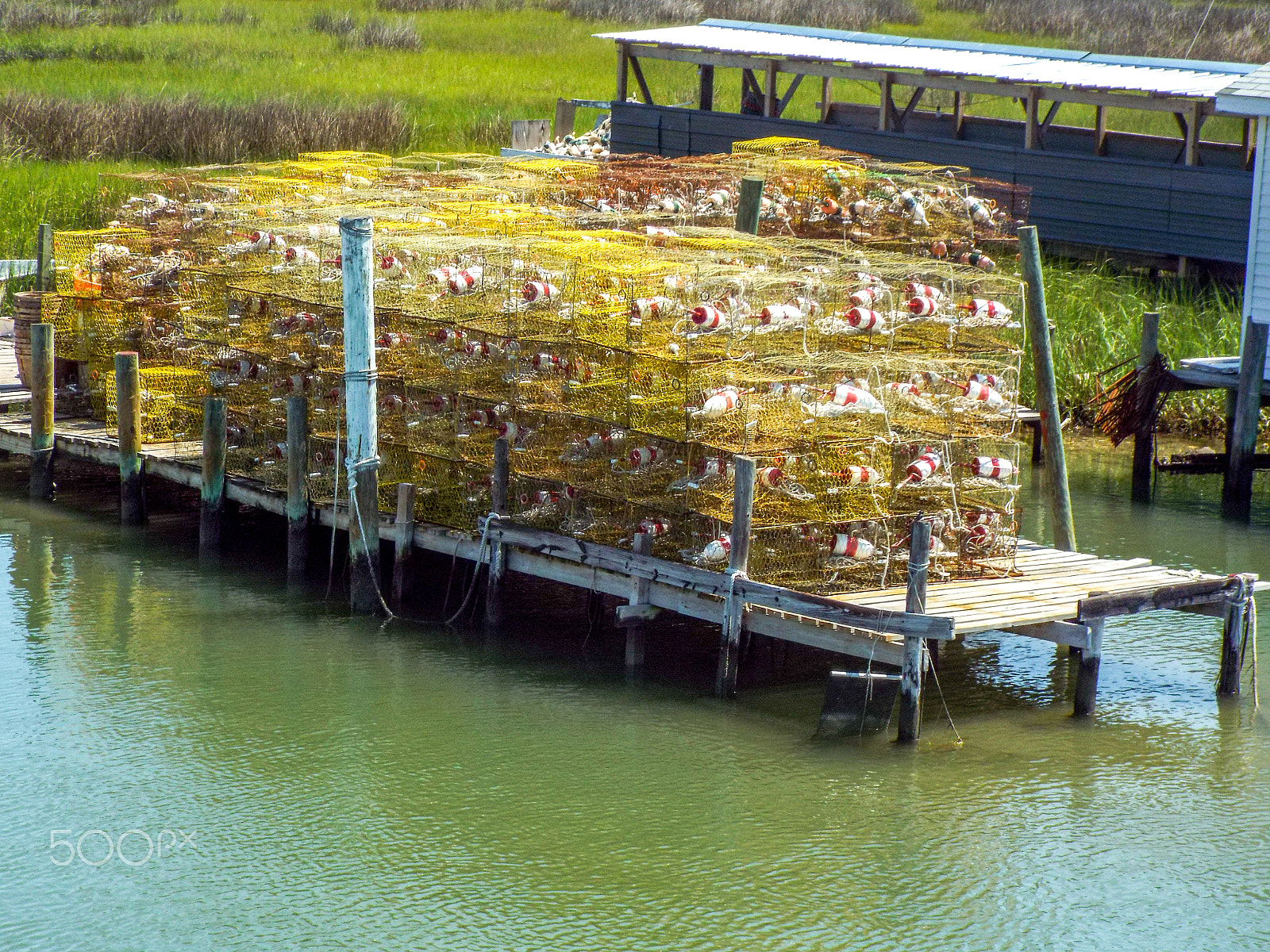 Fujifilm FinePix S8300 sample photo. Trangier island crab traps photography