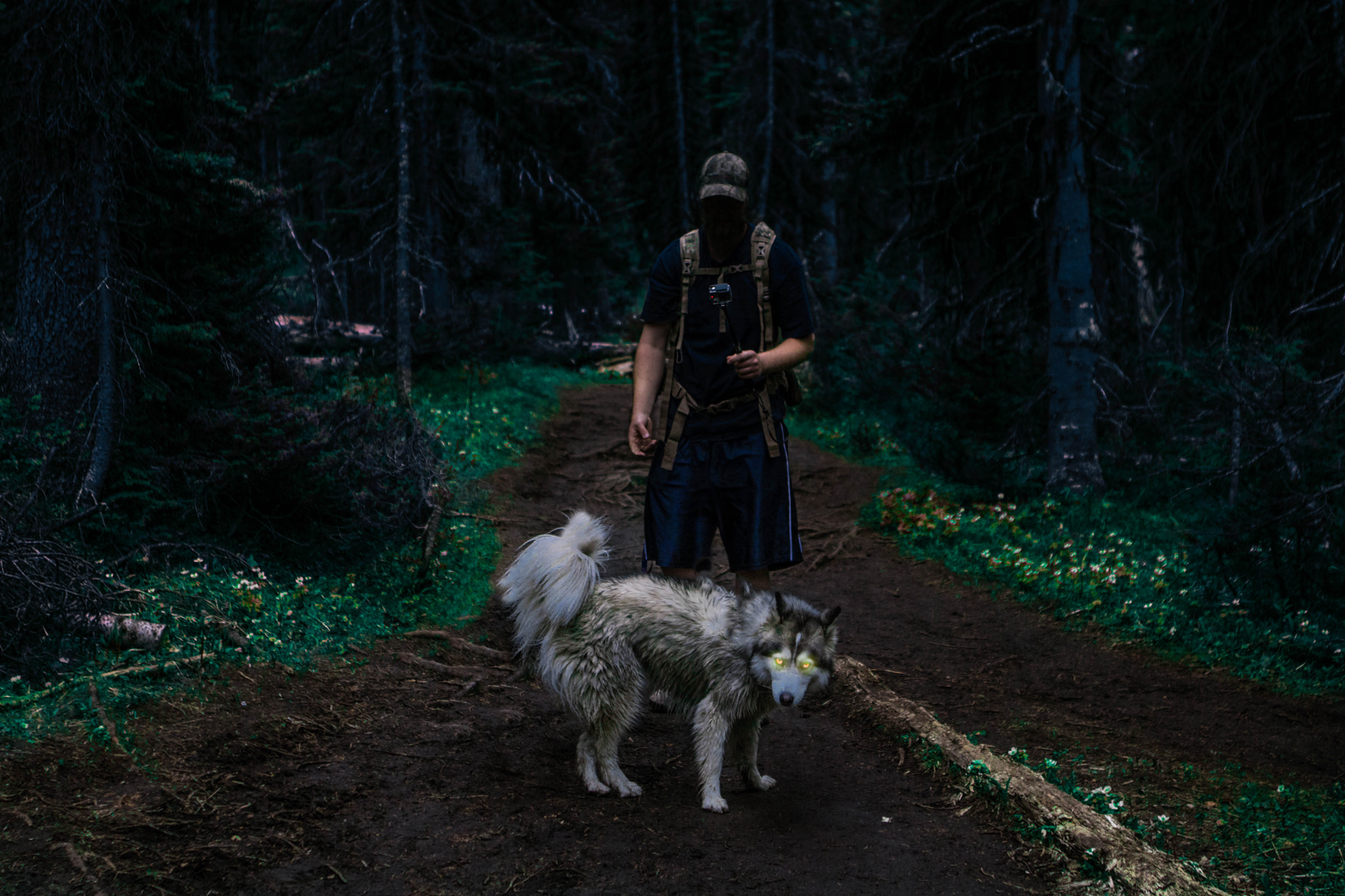 Canon EOS 760D (EOS Rebel T6s / EOS 8000D) sample photo. The man in the woods. photography