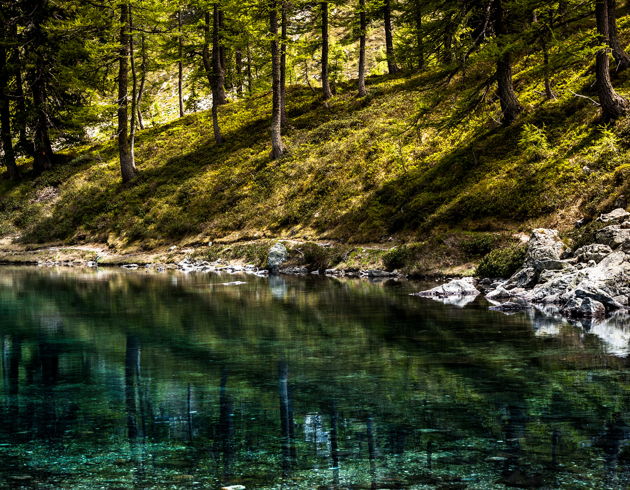 Sigma 70-200mm F2.8 EX DG OS HSM sample photo. Lake moliere photography