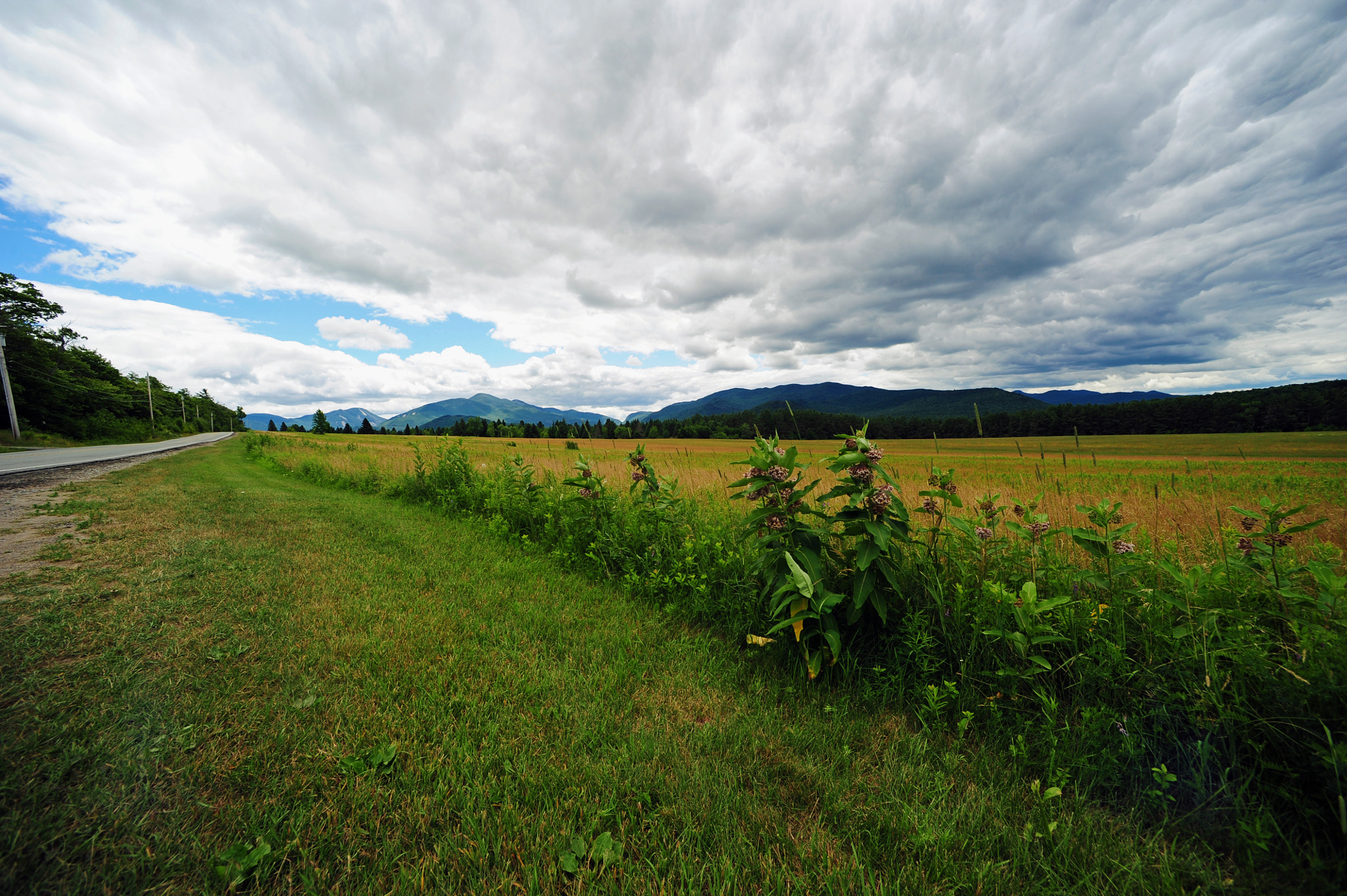 Nikon D700 + Nikon AF Nikkor 14mm F2.8D ED sample photo. Adirondack state park photography