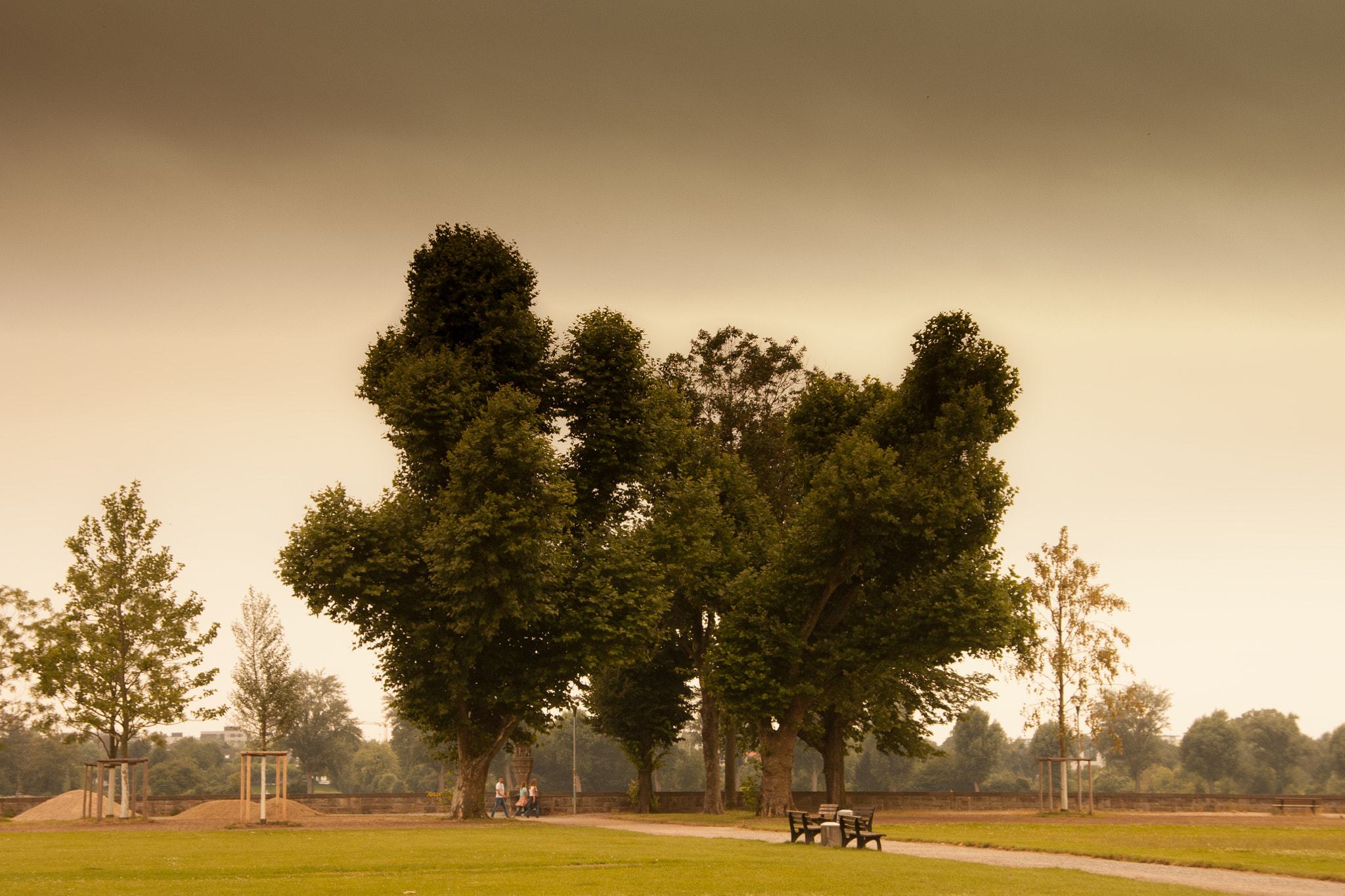 Sigma 18-200mm f/3.5-6.3 DC OS sample photo. Am rhein photography