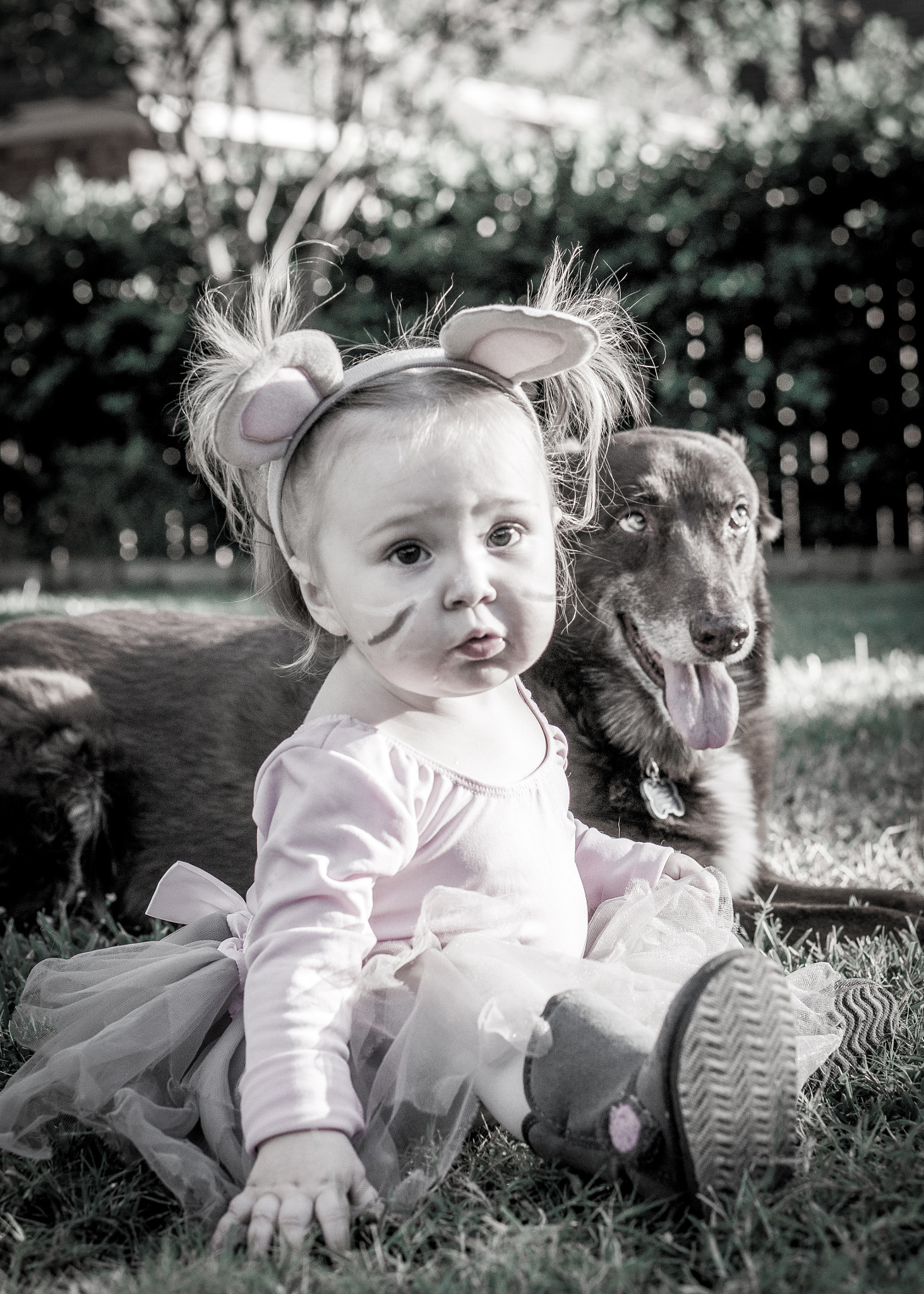 Sony Alpha NEX-6 + E 50mm F1.8 OSS sample photo. Buddies photography
