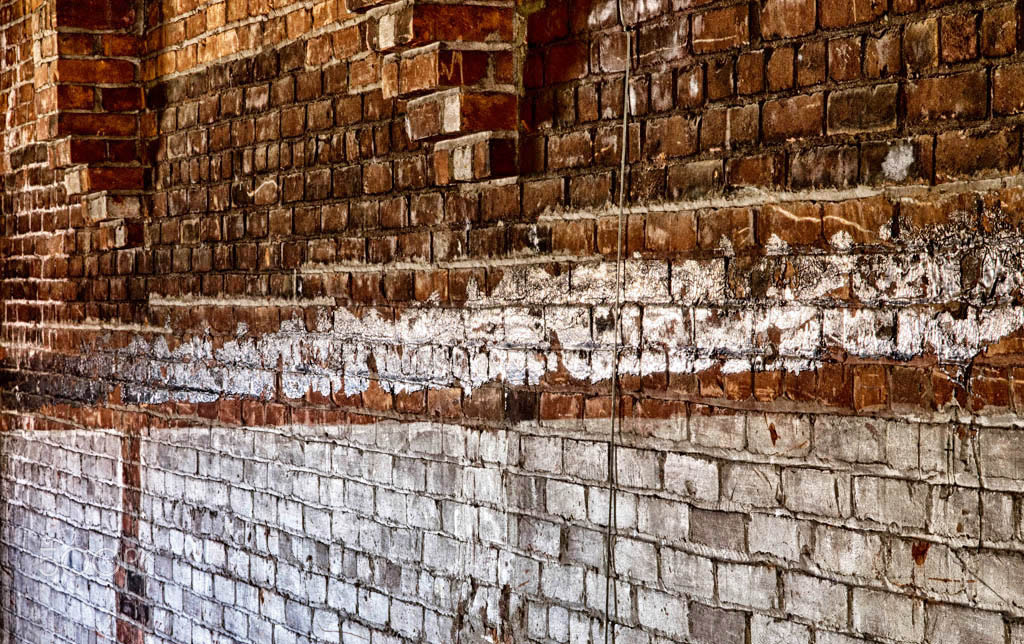 Olympus Zuiko Digital ED 12-60mm F2.8-4.0 SWD sample photo. Brick wall photography