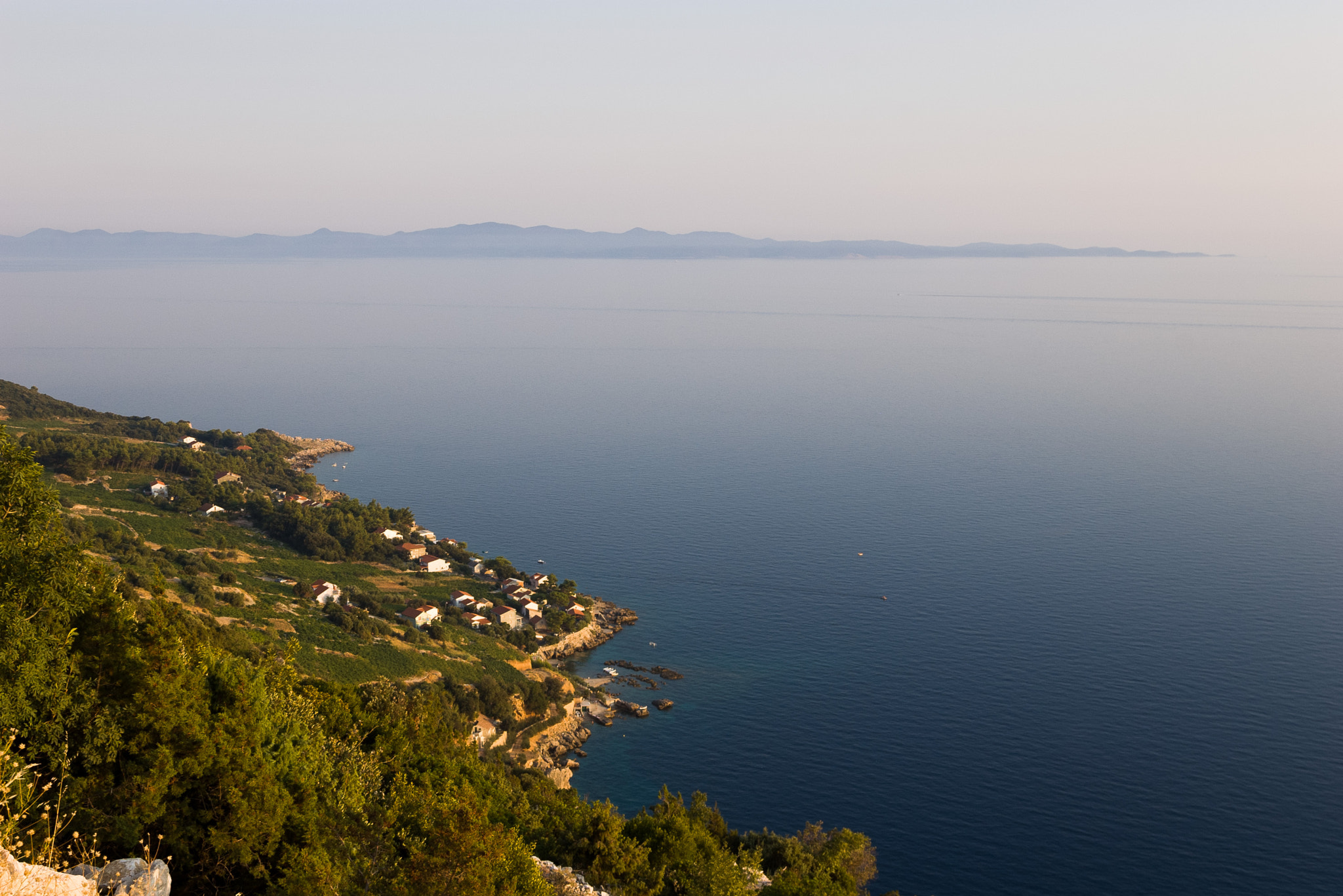 Pentax K100D + Sigma 18-50mm F3.5-5.6 DC sample photo. Dingac wineyards with mljet island in the distance photography