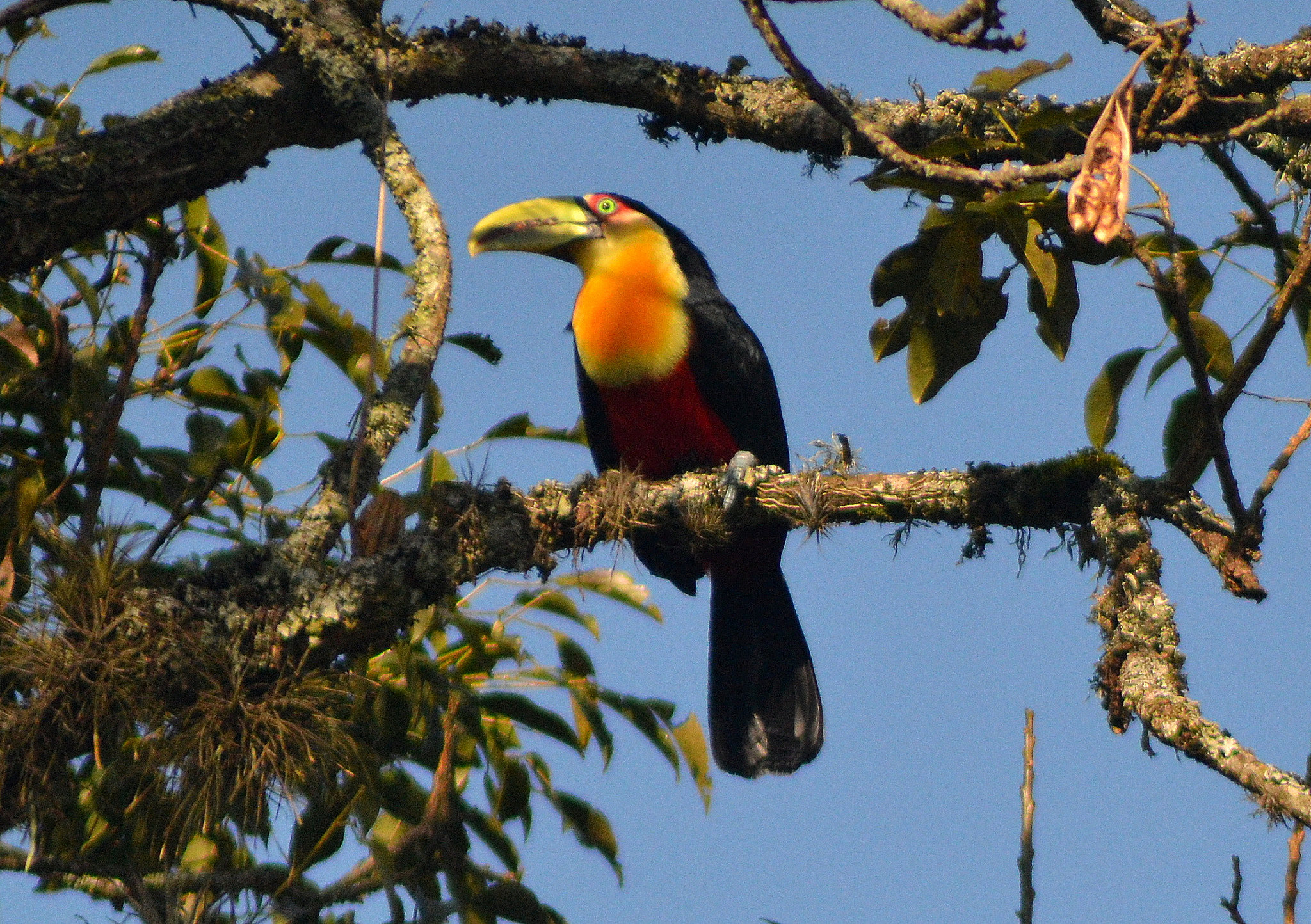 Nikon AF Nikkor 70-300mm F4-5.6G sample photo. Tucano photography