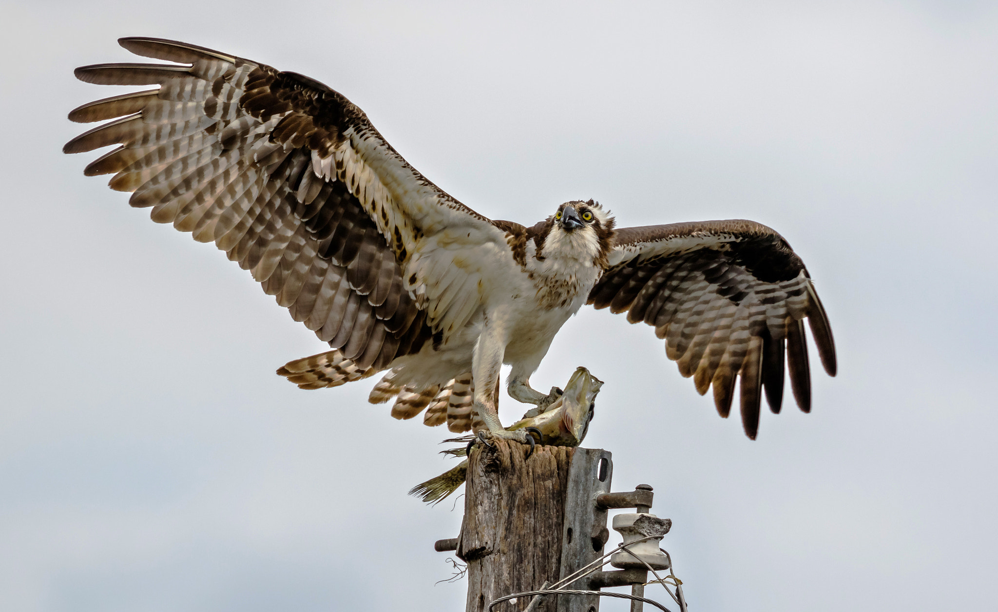 v2?sig=3e6e4398e919898bde62a08171bcaea93579446f7d25e212fd16f3f282c6d3d8