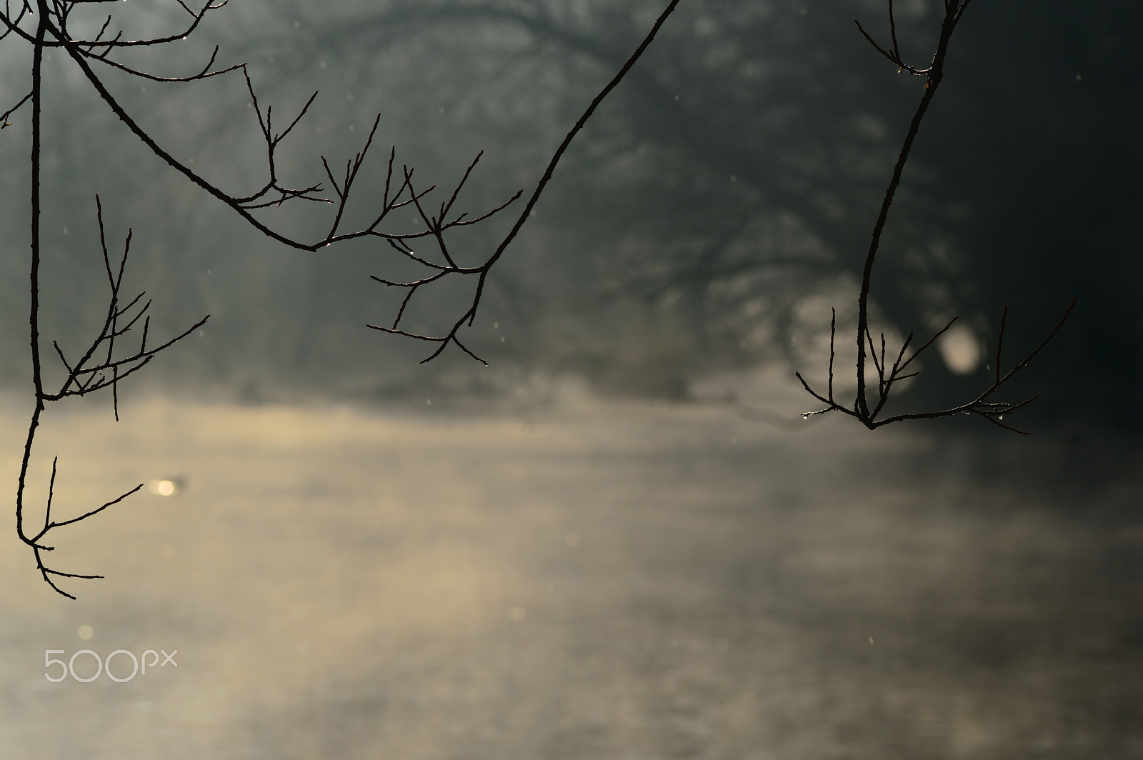 Nikon AF-S Nikkor 24-120mm F4G ED VR sample photo. Fantasy places,lake,flower, photography
