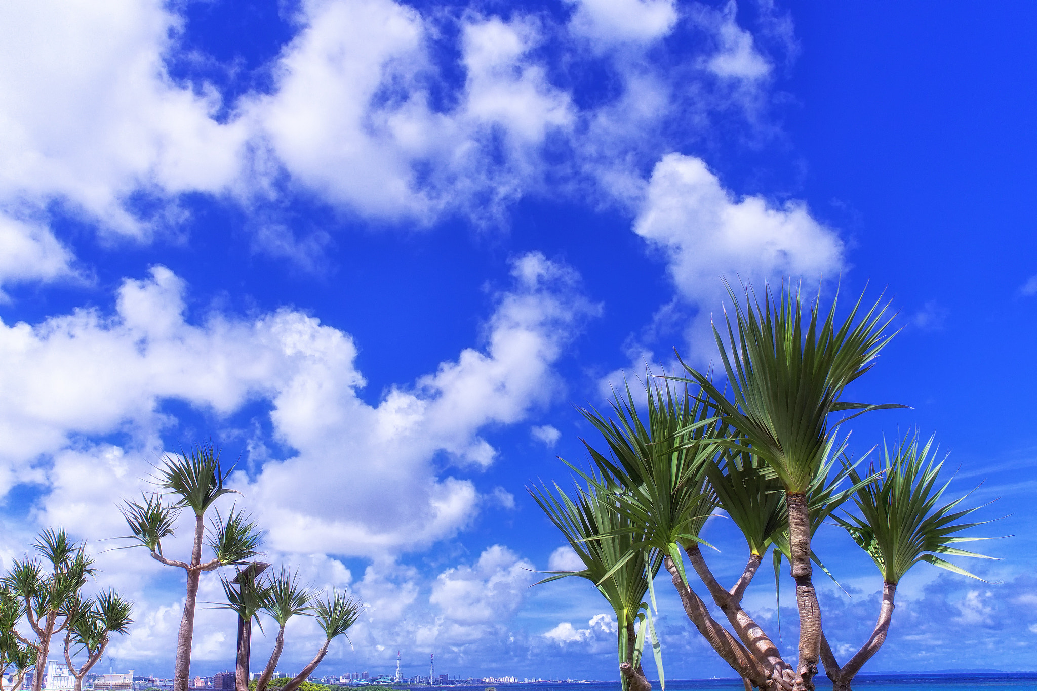 Panasonic Lumix DMC-GH3 + OLYMPUS DIGITAL 12-60mm Lens sample photo. Okinawa of blue sky and clouds. photography