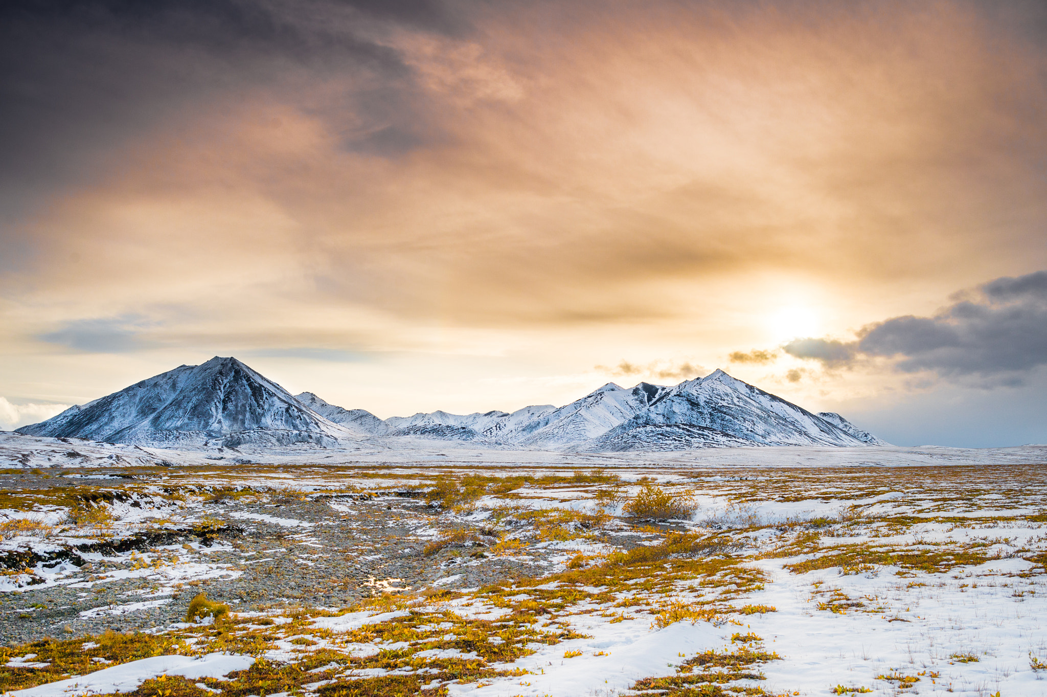 Nikon D4 + AF Zoom-Nikkor 28-80mm f/3.3-5.6G sample photo. Arctic tundra photography