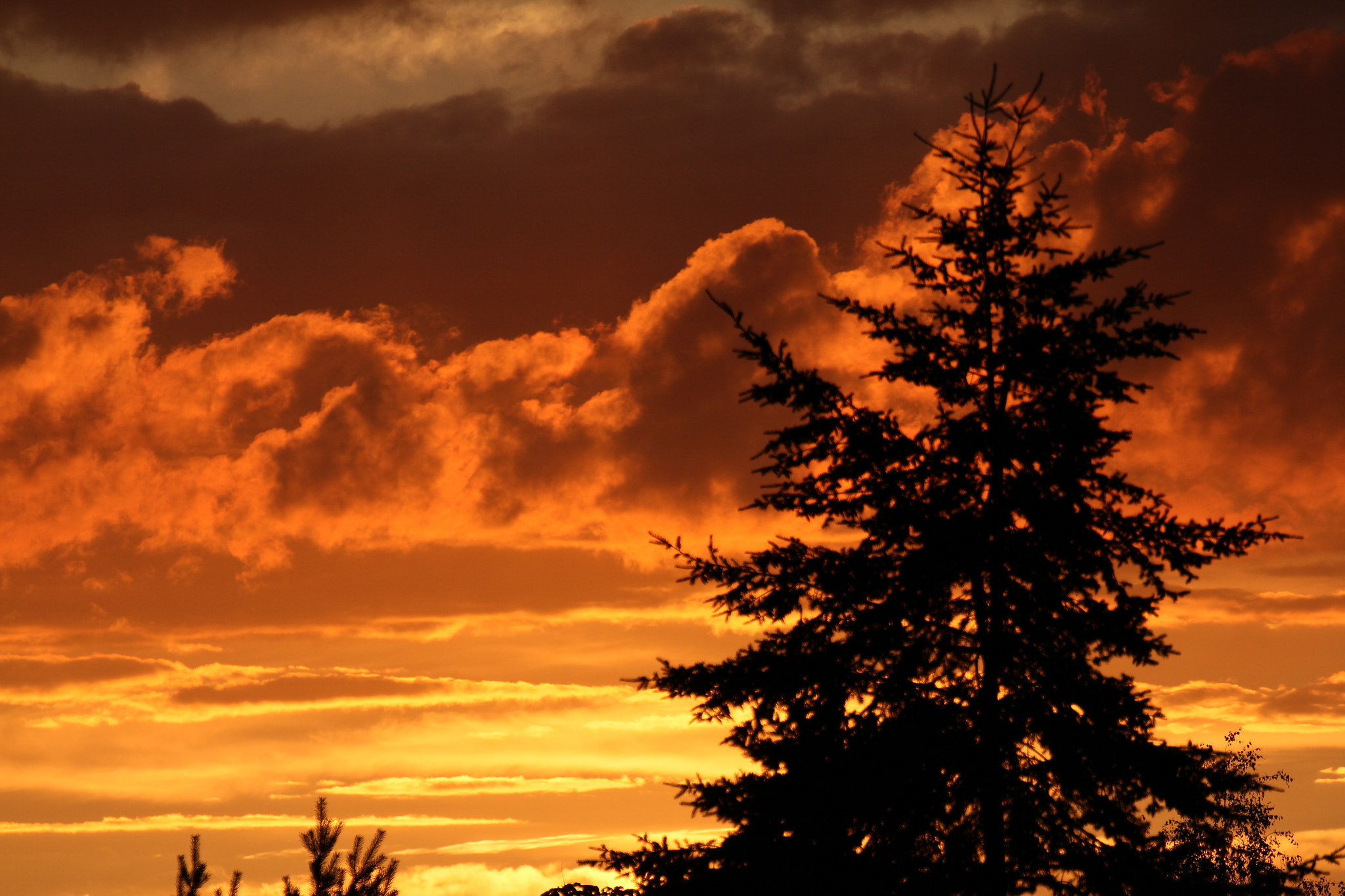 Tamron SP 35mm F1.8 Di VC USD sample photo. Fire on sky photography