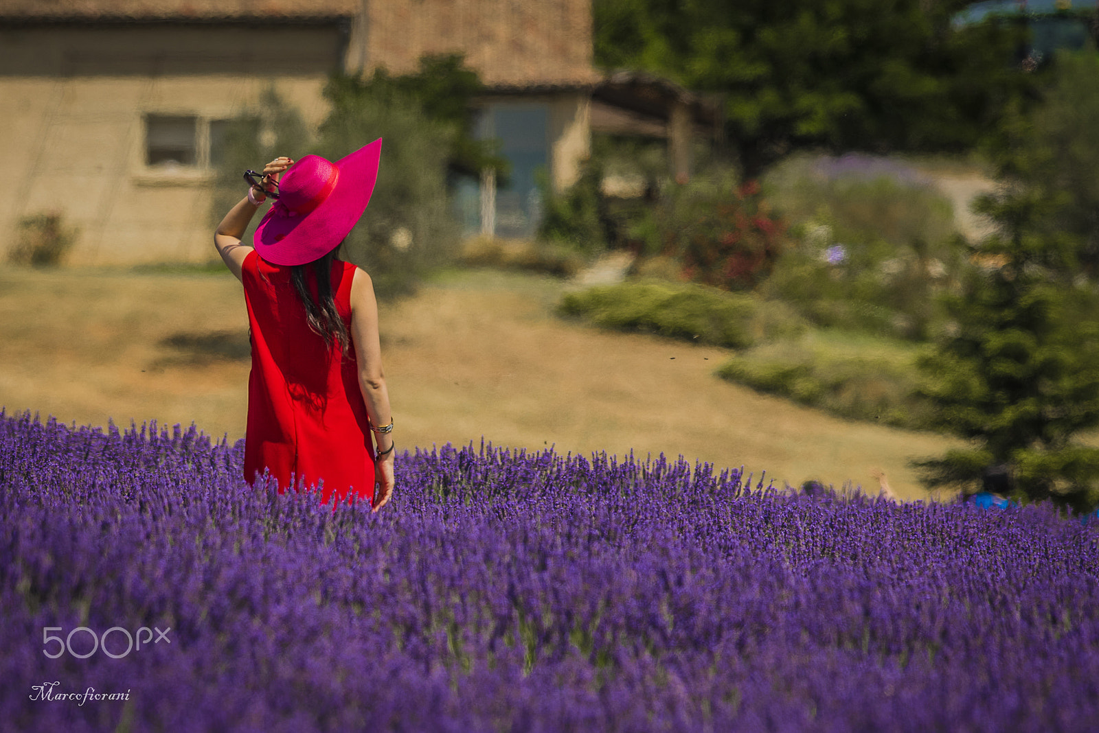Nikon D810 + Nikon AF-S Nikkor 300mm F4D ED-IF sample photo. .. photography