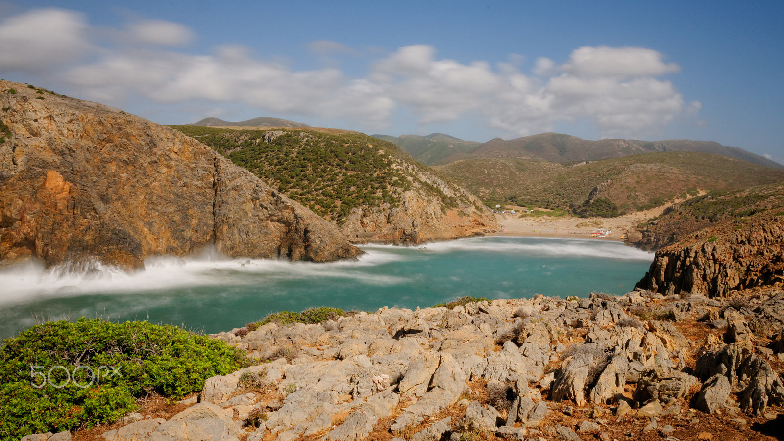 Nikon D300S sample photo. Cala domestica photography