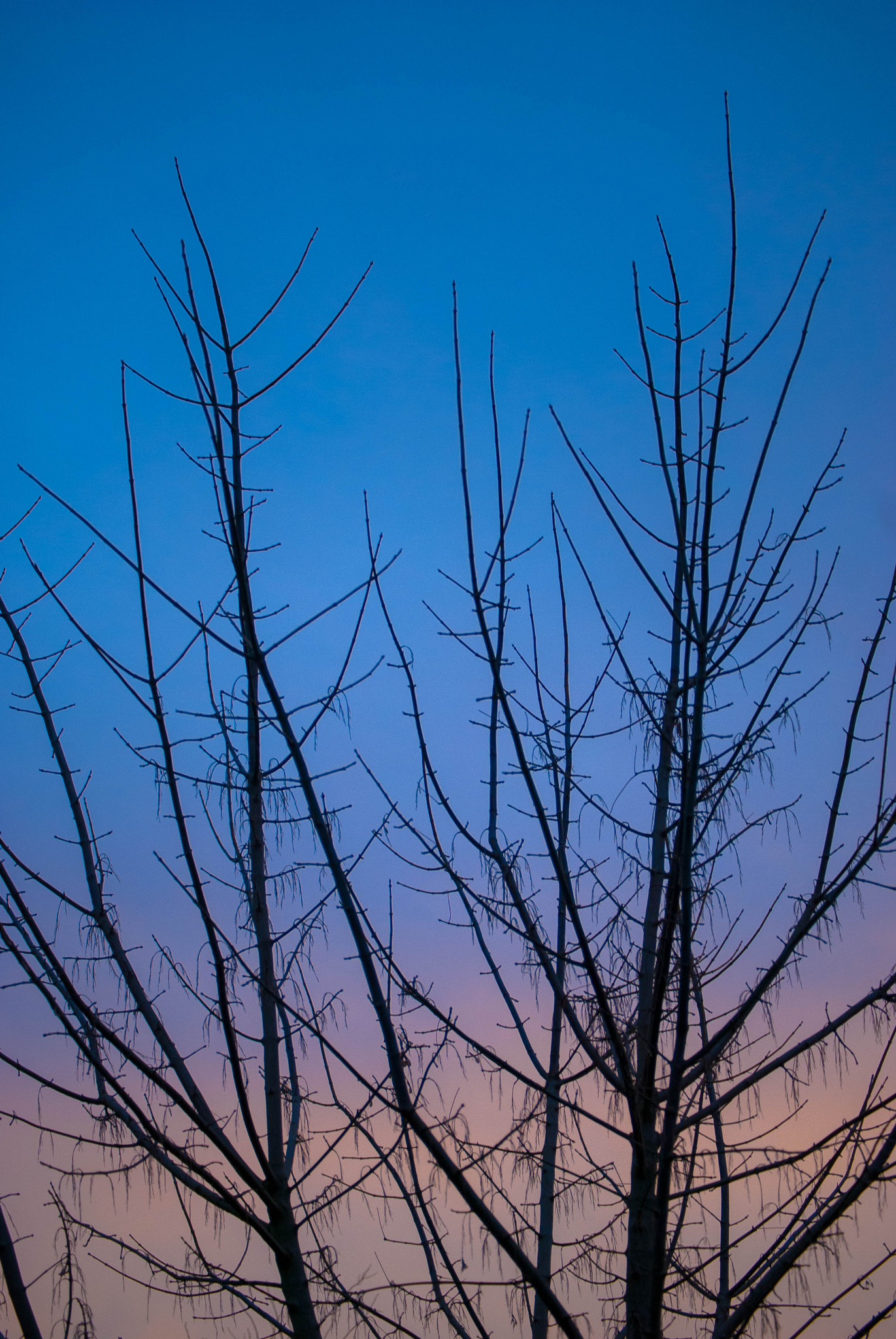 Nikon D80 sample photo. Colores! photography