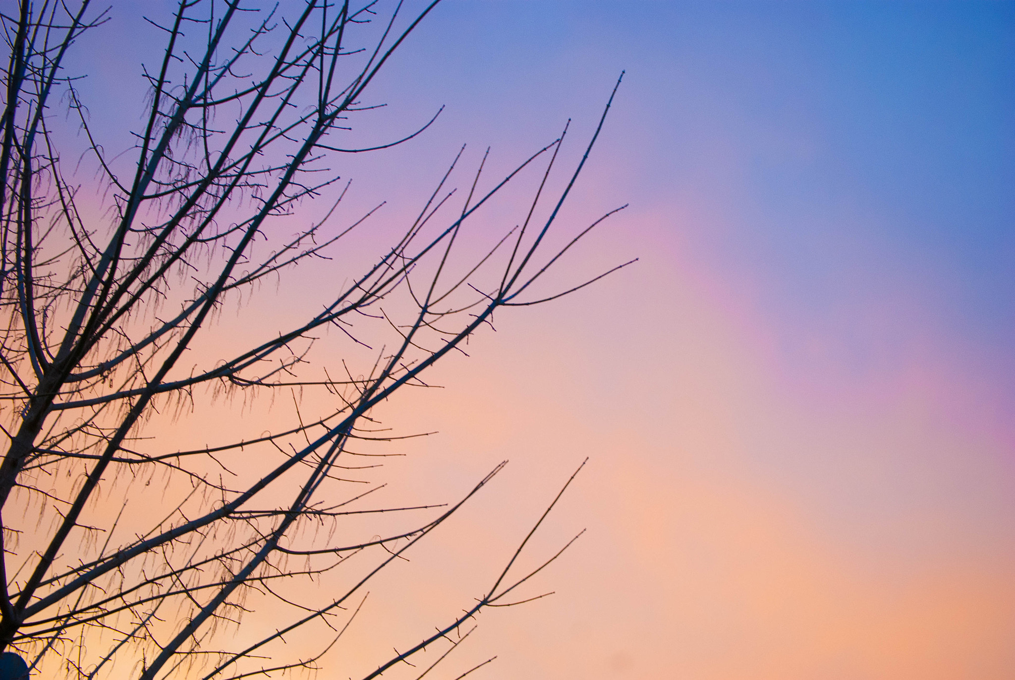 Nikon D80 sample photo. Atardecer photography