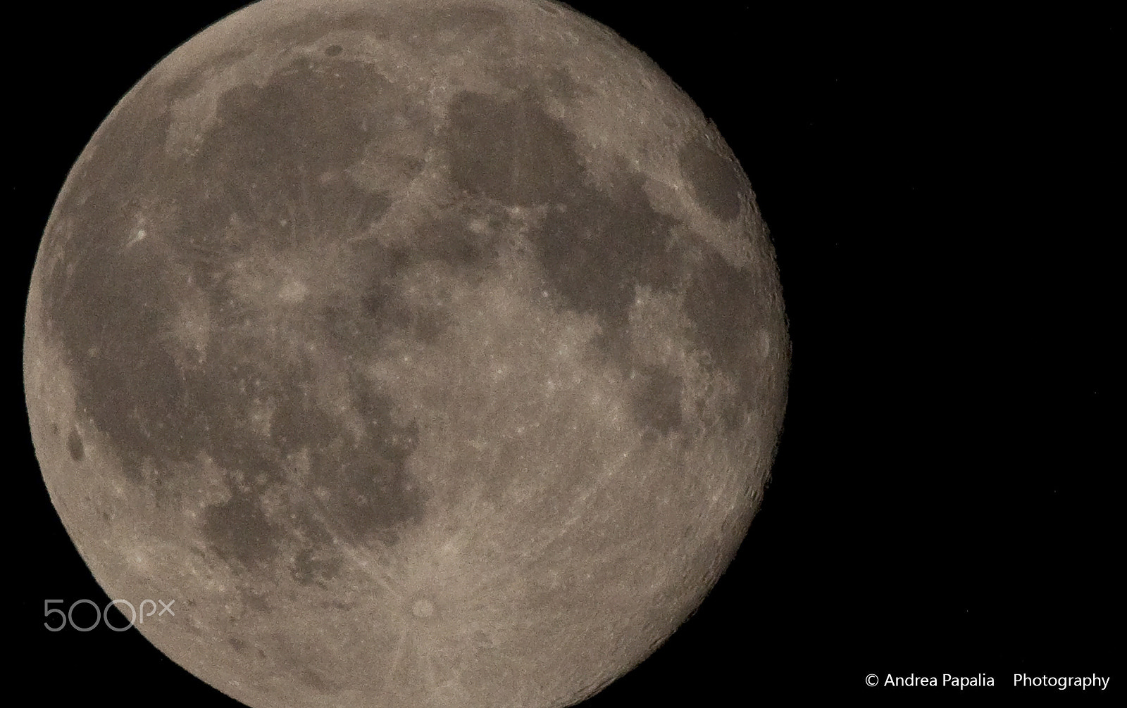 Canon EF 100-400mm F4.5-5.6L IS USM sample photo. Ti sento sempre più vicina...! photography