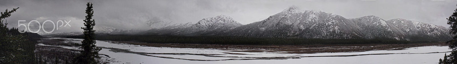 Canon EOS 40D + Canon EF 35mm F2 sample photo. Denali national park @ 11:49 am photography