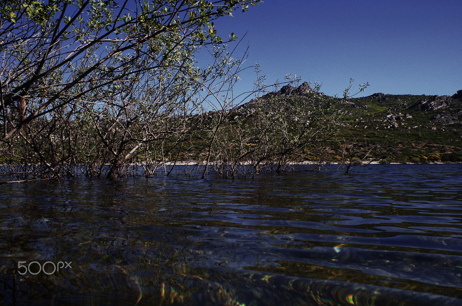 Pentax K-50 + A Series Lens sample photo. Swimming photography