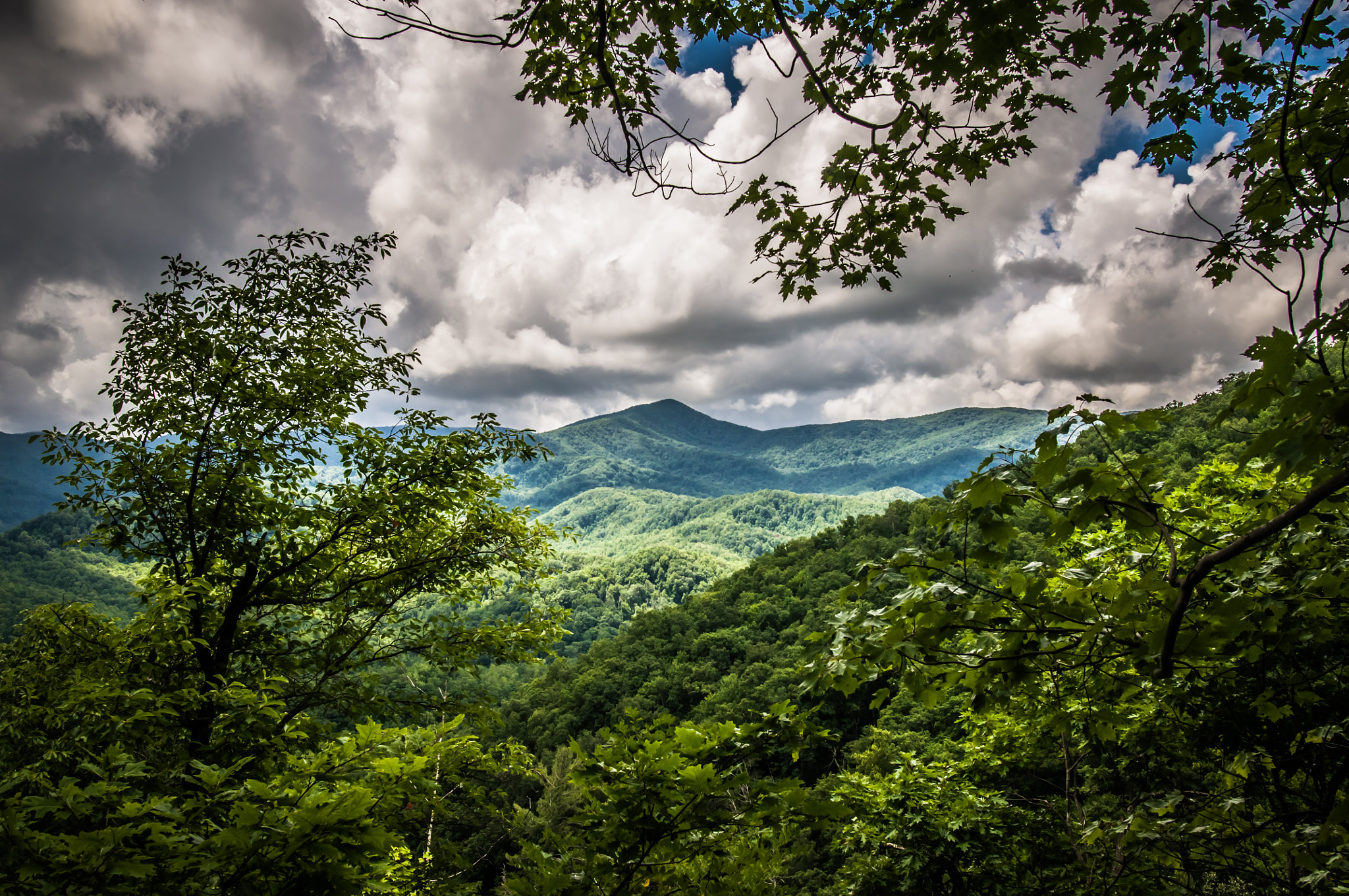 Nikon D90 + Nikon AF-S Nikkor 20mm F1.8G ED sample photo. Great smokies photography