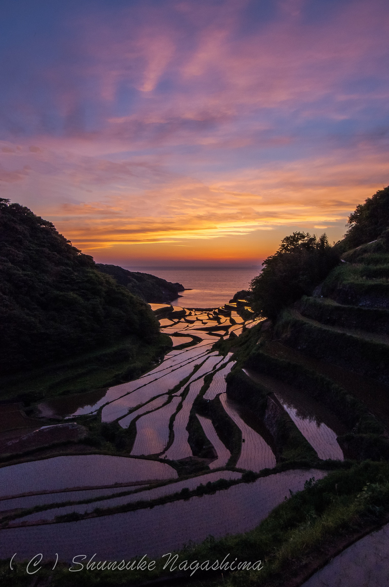 Pentax smc DA 16-45mm F4 ED AL sample photo. Japanese ”tanada” photography