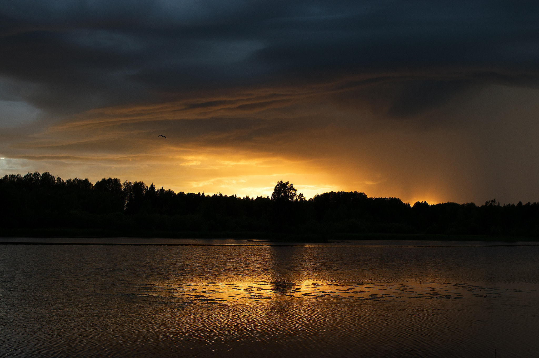 Pentax K-3 sample photo. Summer weather photography