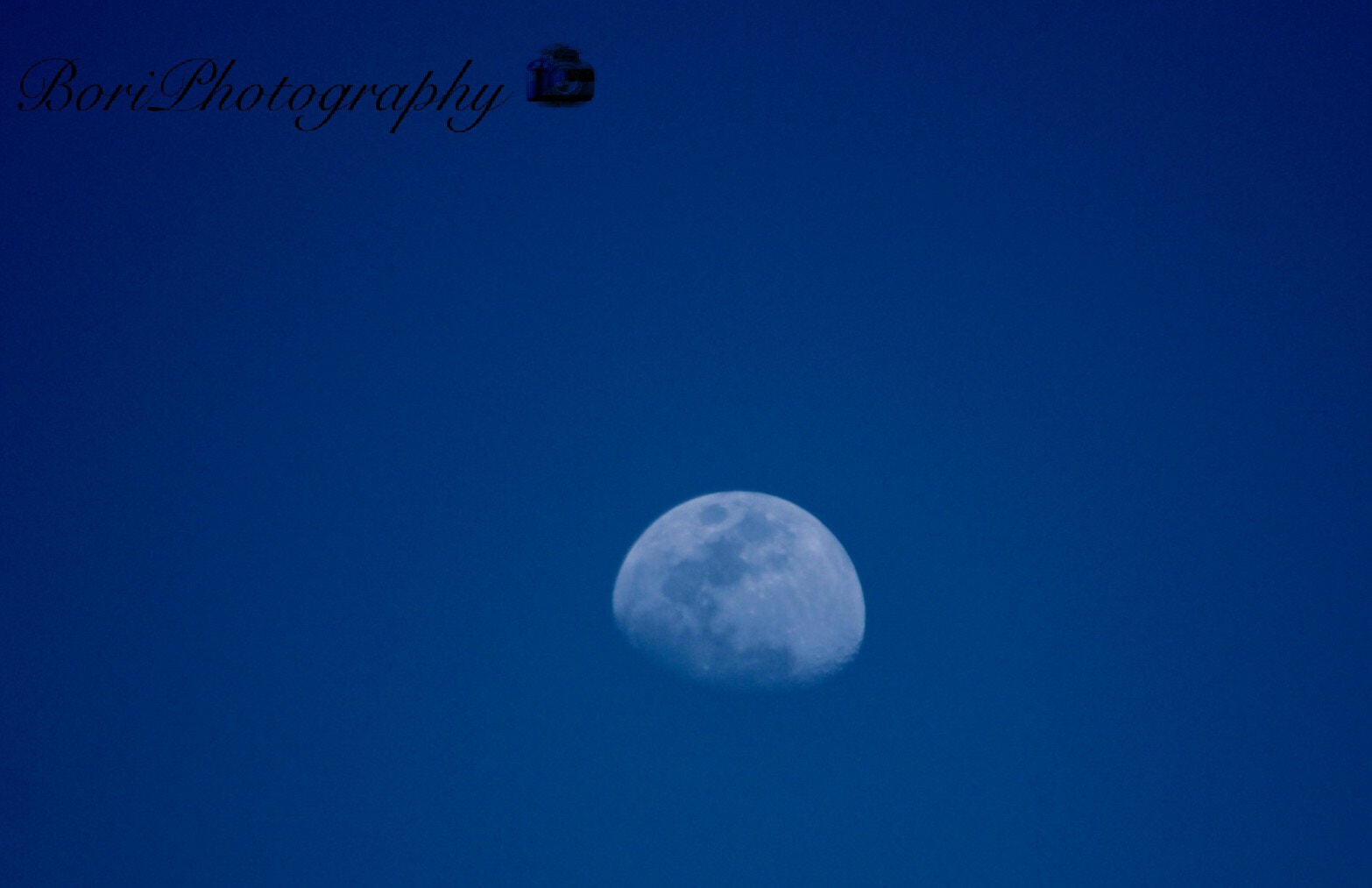 Canon EF75-300mm f/4-5.6 sample photo