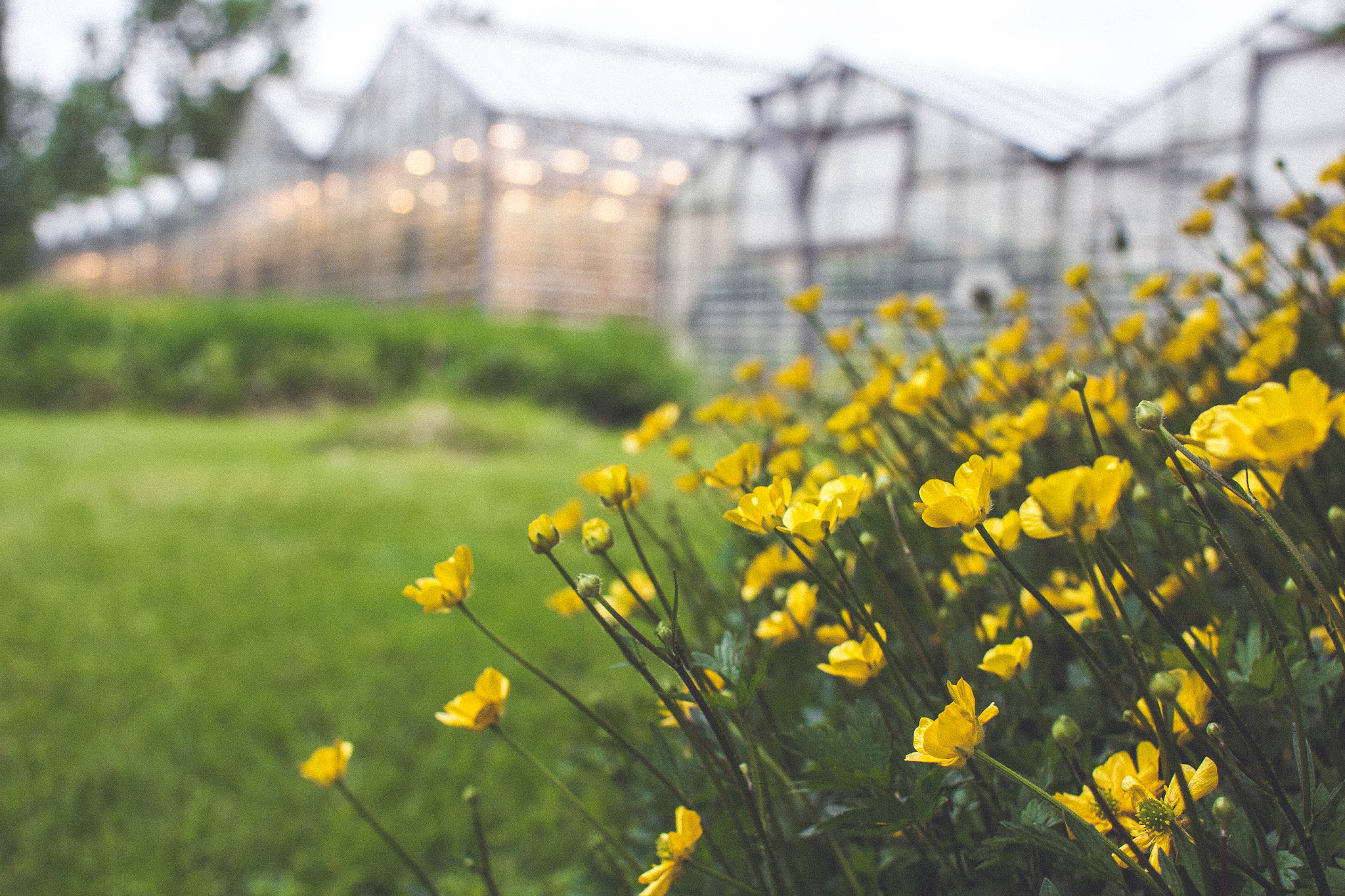 Canon EF 28mm F1.8 USM sample photo. Artificially natural photography