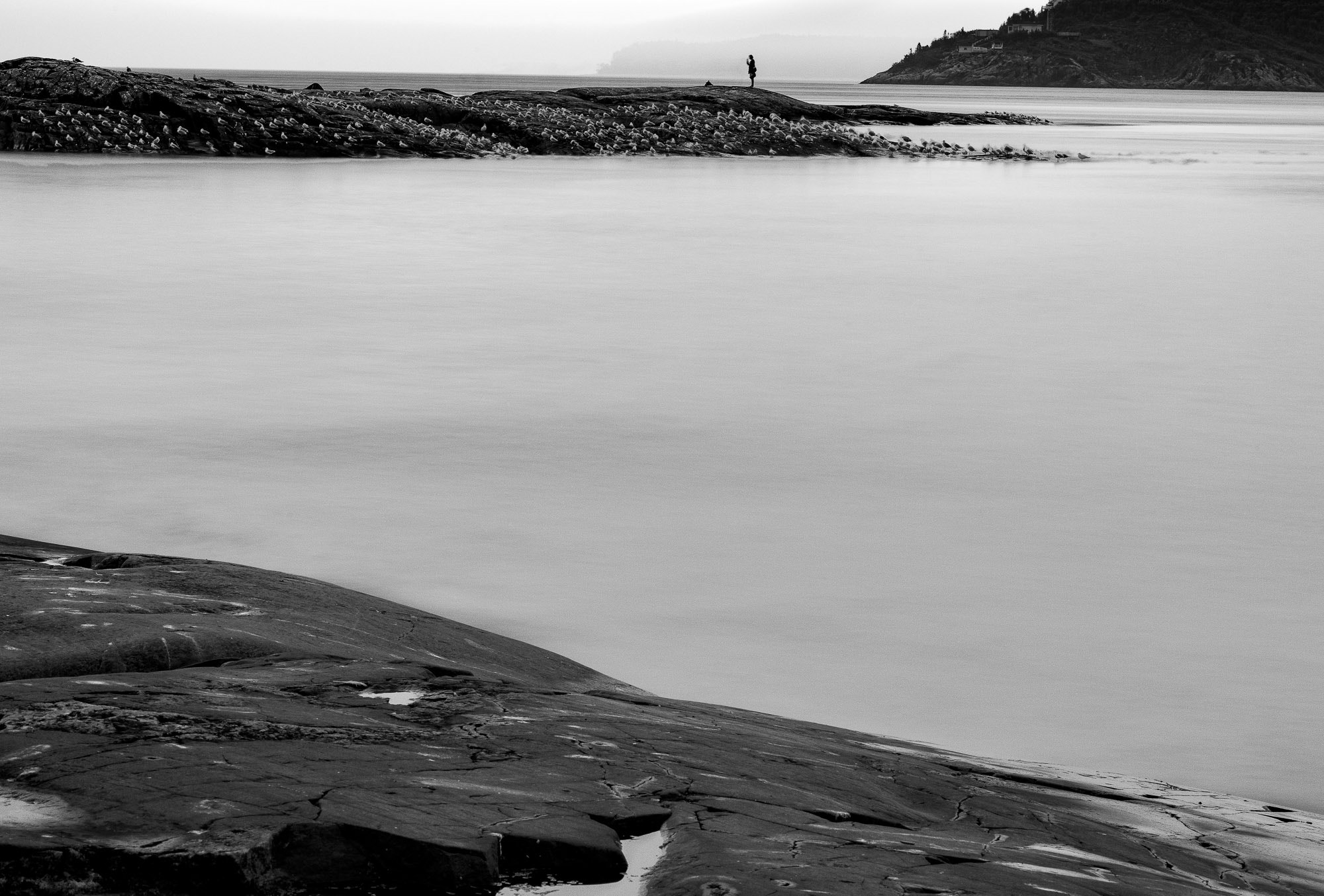 Nikon D810 + ZEISS Makro-Planar T* 100mm F2 sample photo. Tadoussac bay photography