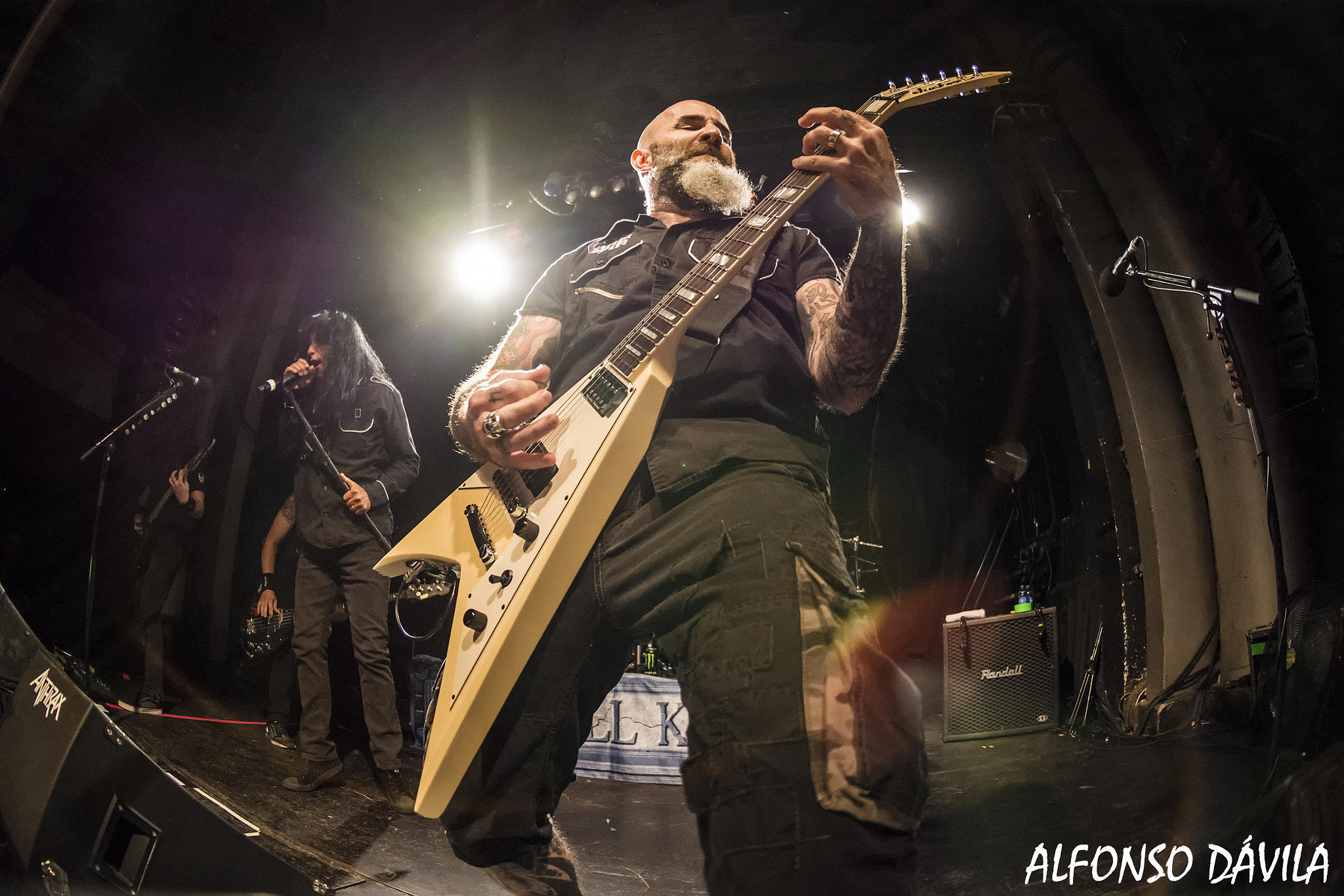 Nikon AF DX Fisheye-Nikkor 10.5mm F2.8G ED sample photo. Anthrax photography