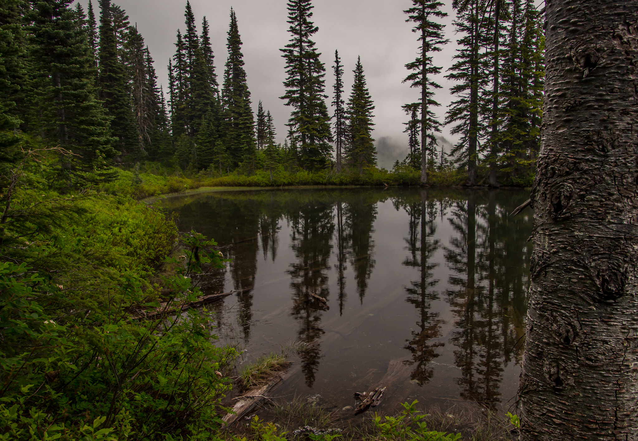 Canon EOS 100D (EOS Rebel SL1 / EOS Kiss X7) sample photo. A foggy reflection photography