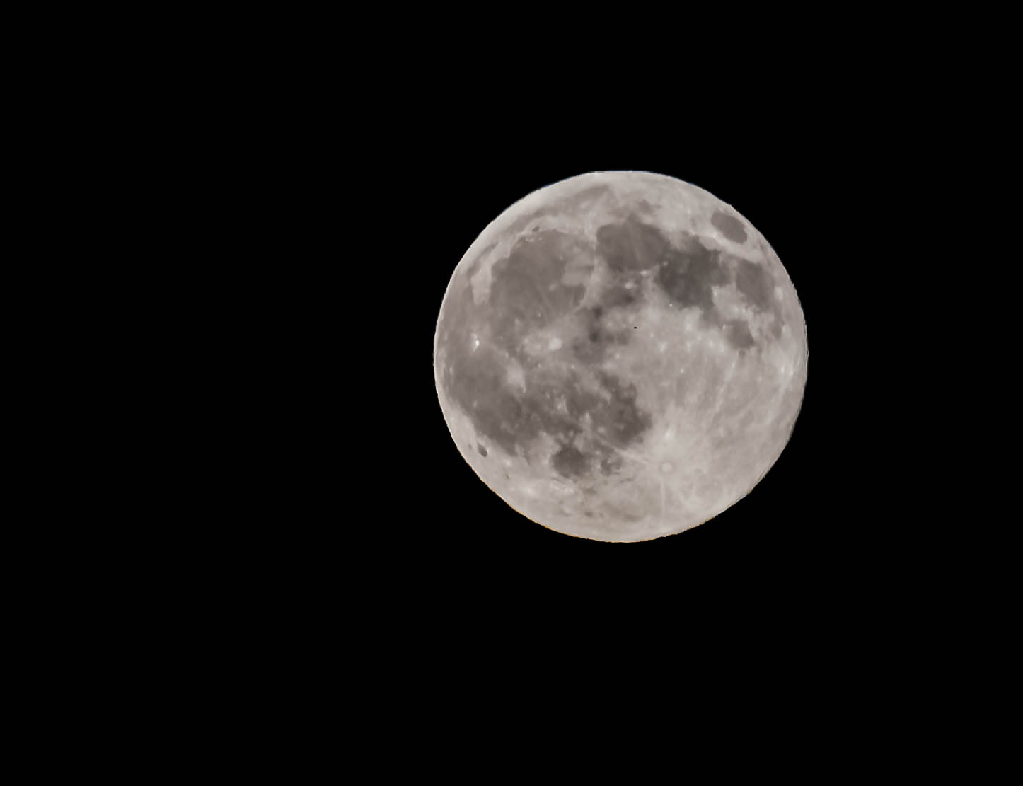 Sigma 150-500mm F5-6.3 DG OS HSM sample photo. Buck moon photography