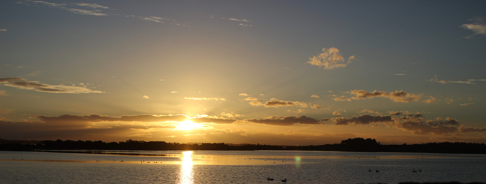 Canon EF 28mm F2.8 sample photo