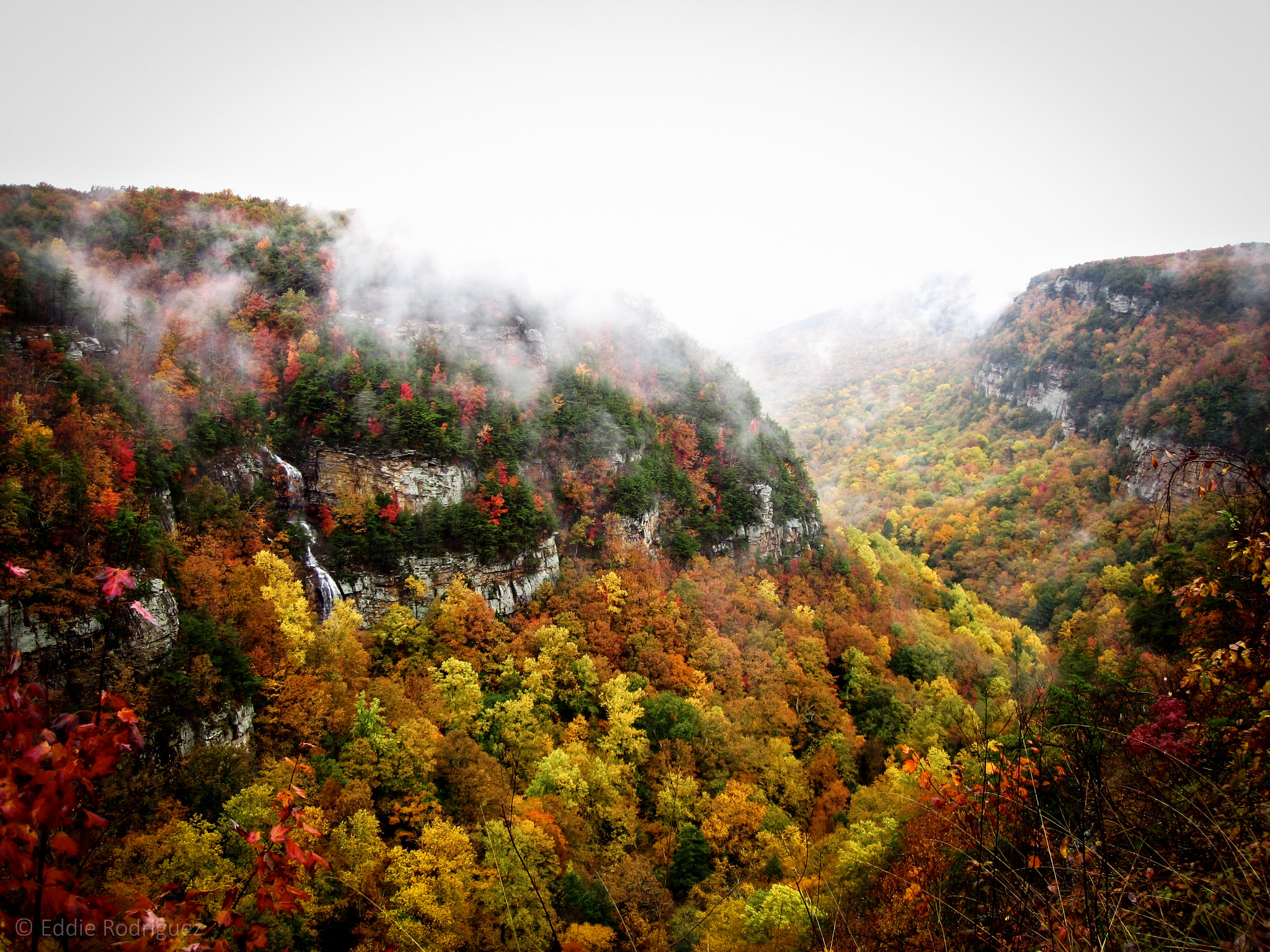 Canon PowerShot SD780 IS (Digital IXUS 100 IS / IXY Digital 210 IS) sample photo. Fall in the clouds photography