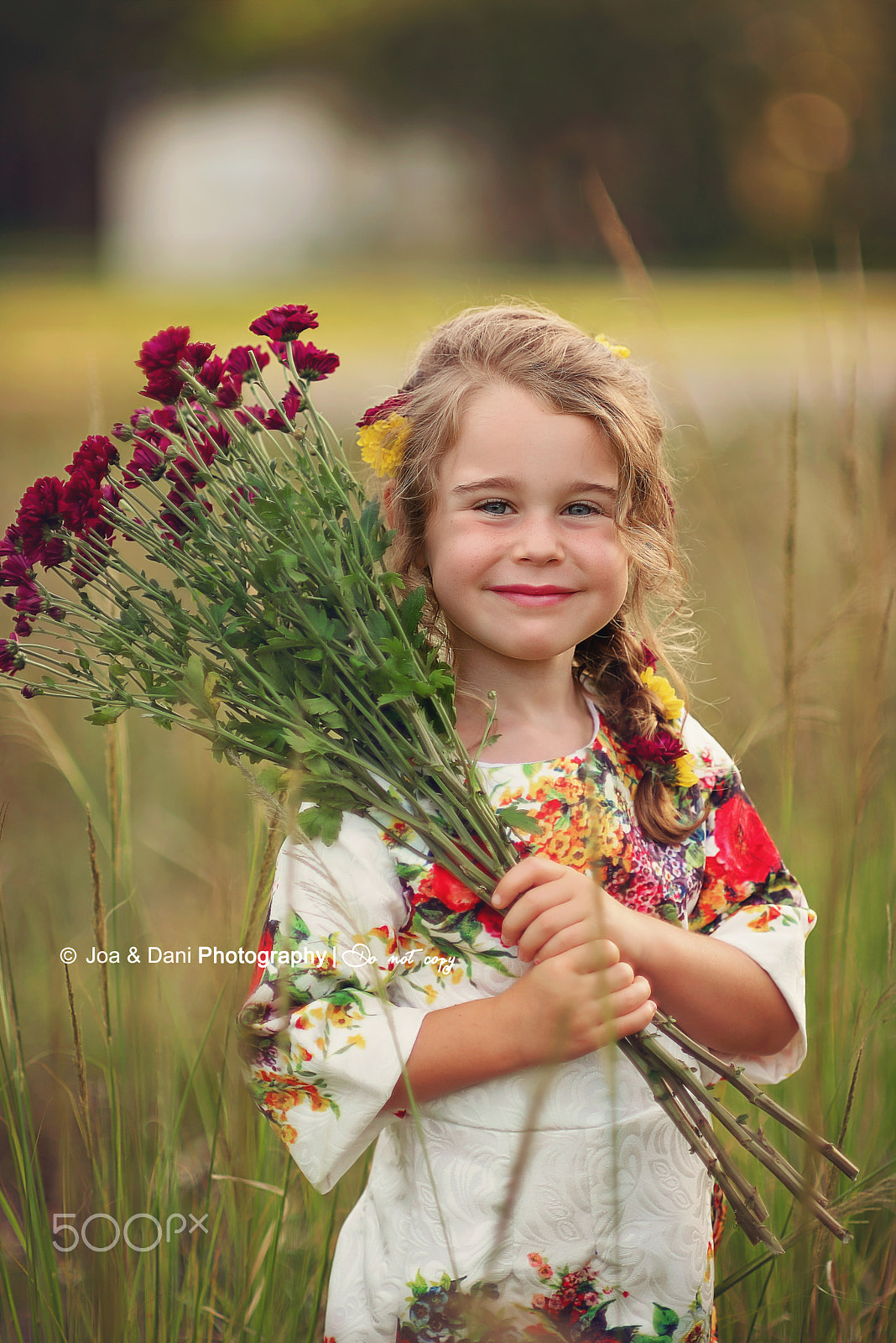 Nikon D750 + AF DC-Nikkor 135mm f/2D sample photo. "as the sun colors flowers, so does art color life photography