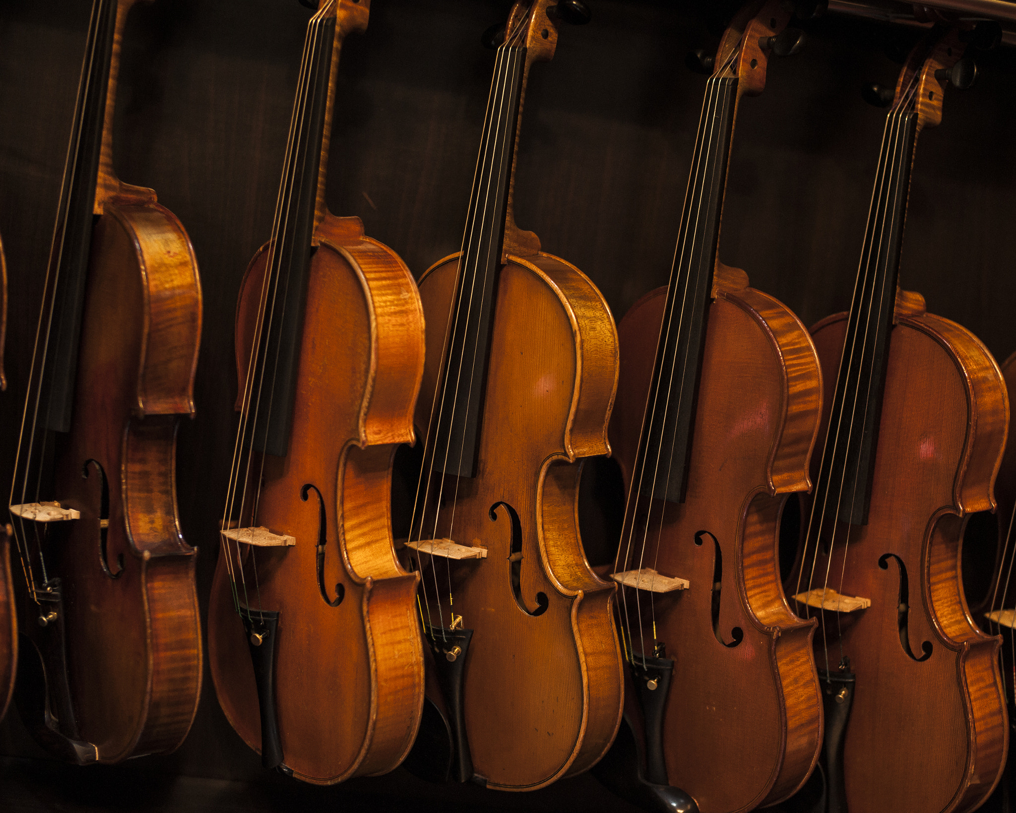 Sony Planar T* 50mm F1.4 ZA SSM sample photo. Violins photography
