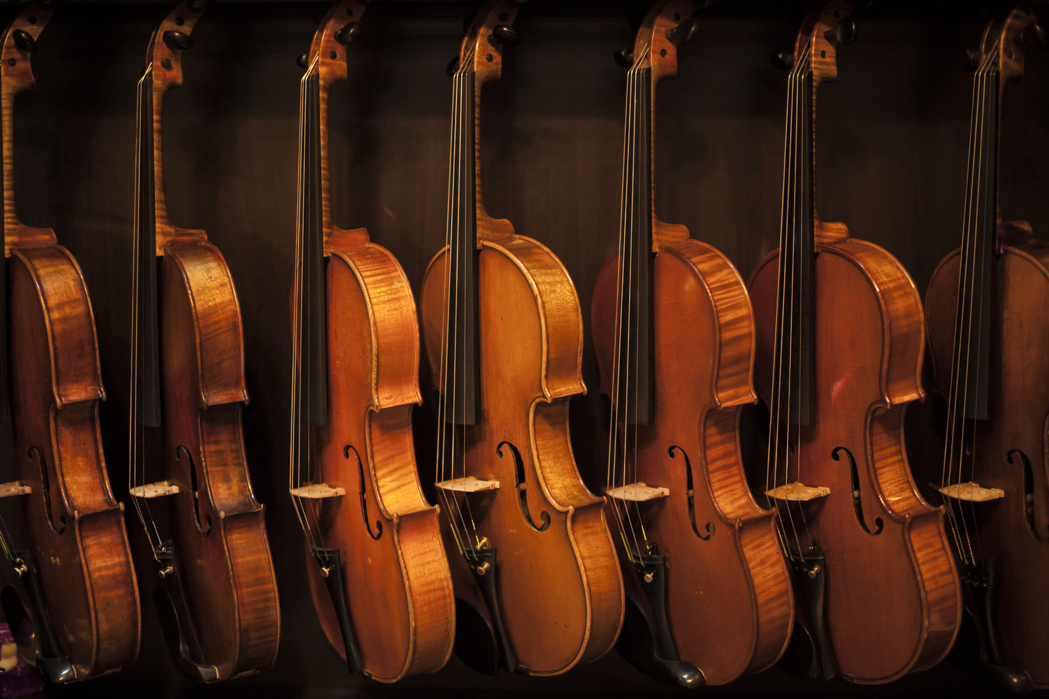 Sony Planar T* 50mm F1.4 ZA SSM sample photo. Violins photography