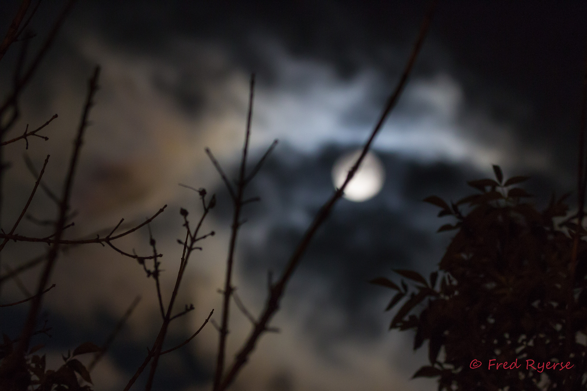 Canon EOS 600D (Rebel EOS T3i / EOS Kiss X5) + Tamron SP 150-600mm F5-6.3 Di VC USD sample photo. Moon through the branches photography