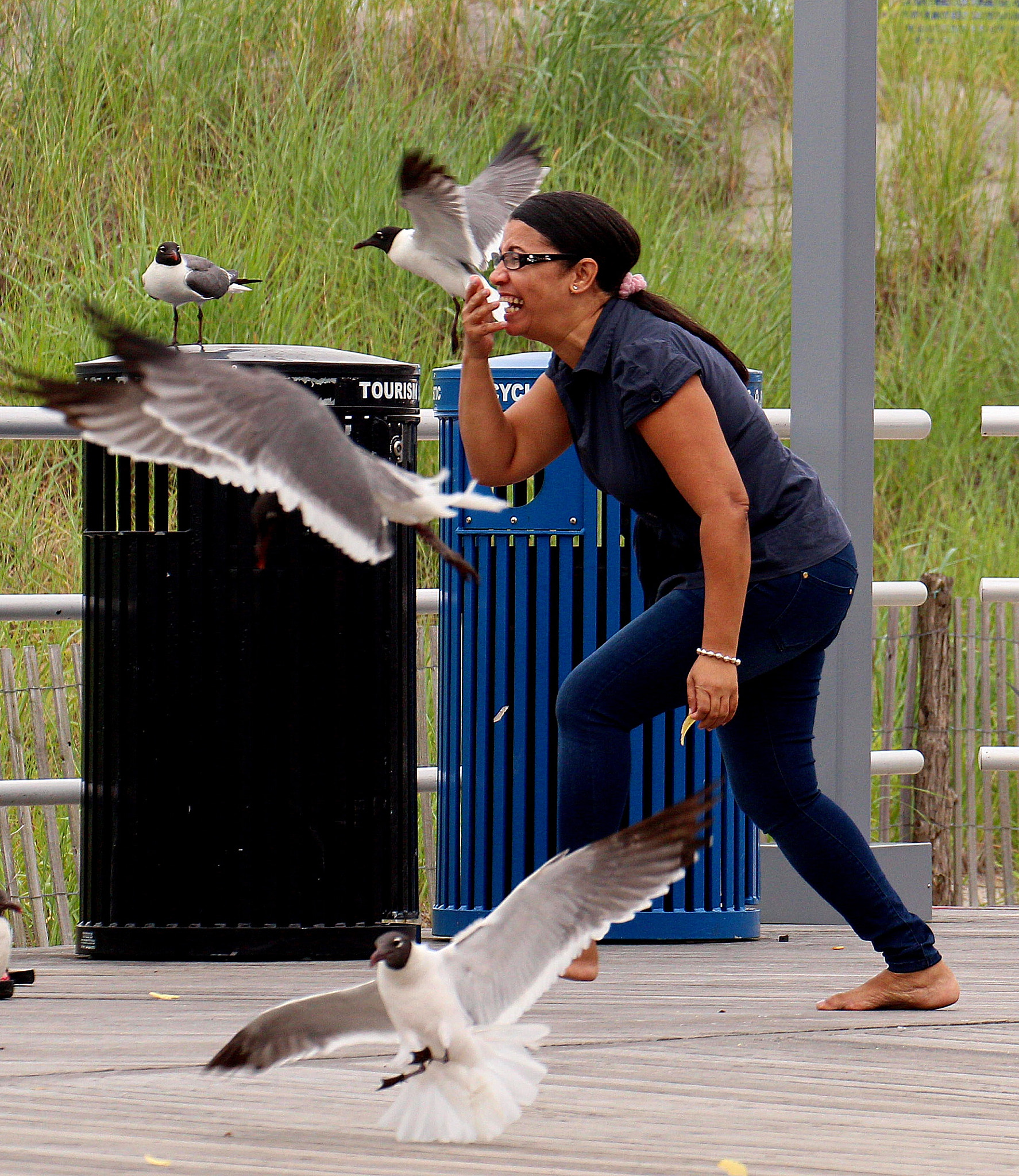 Canon EF 70-300mm F4-5.6L IS USM sample photo. Eating a seagull? photography