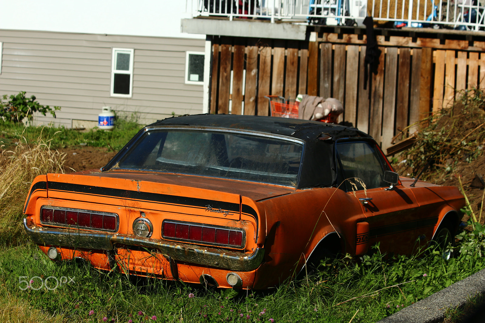 Canon EF 70-300mm F4-5.6 IS USM sample photo. 1969 california special rust bucket! photography