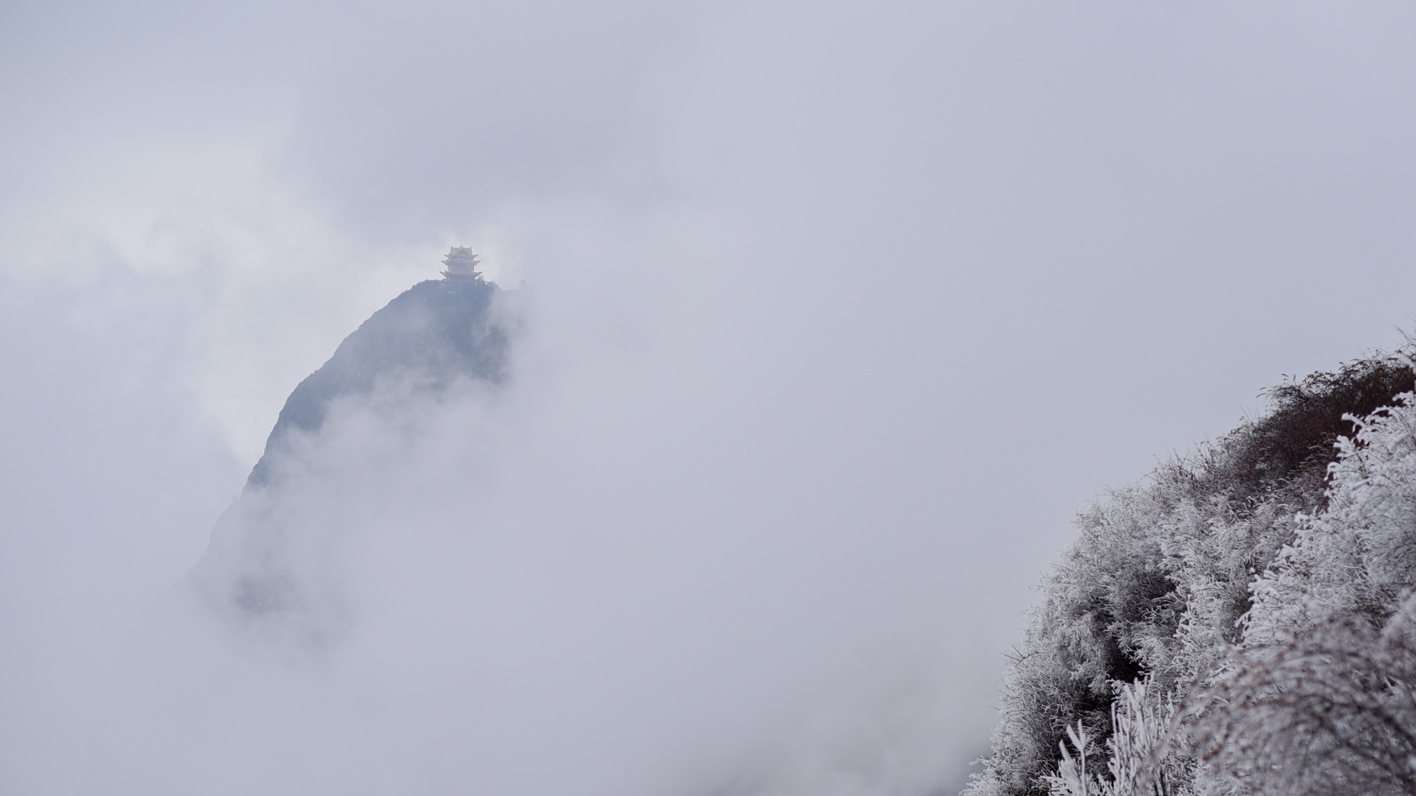 Nikon D750 + AF Nikkor 50mm f/1.4 sample photo. 峨眉山 photography