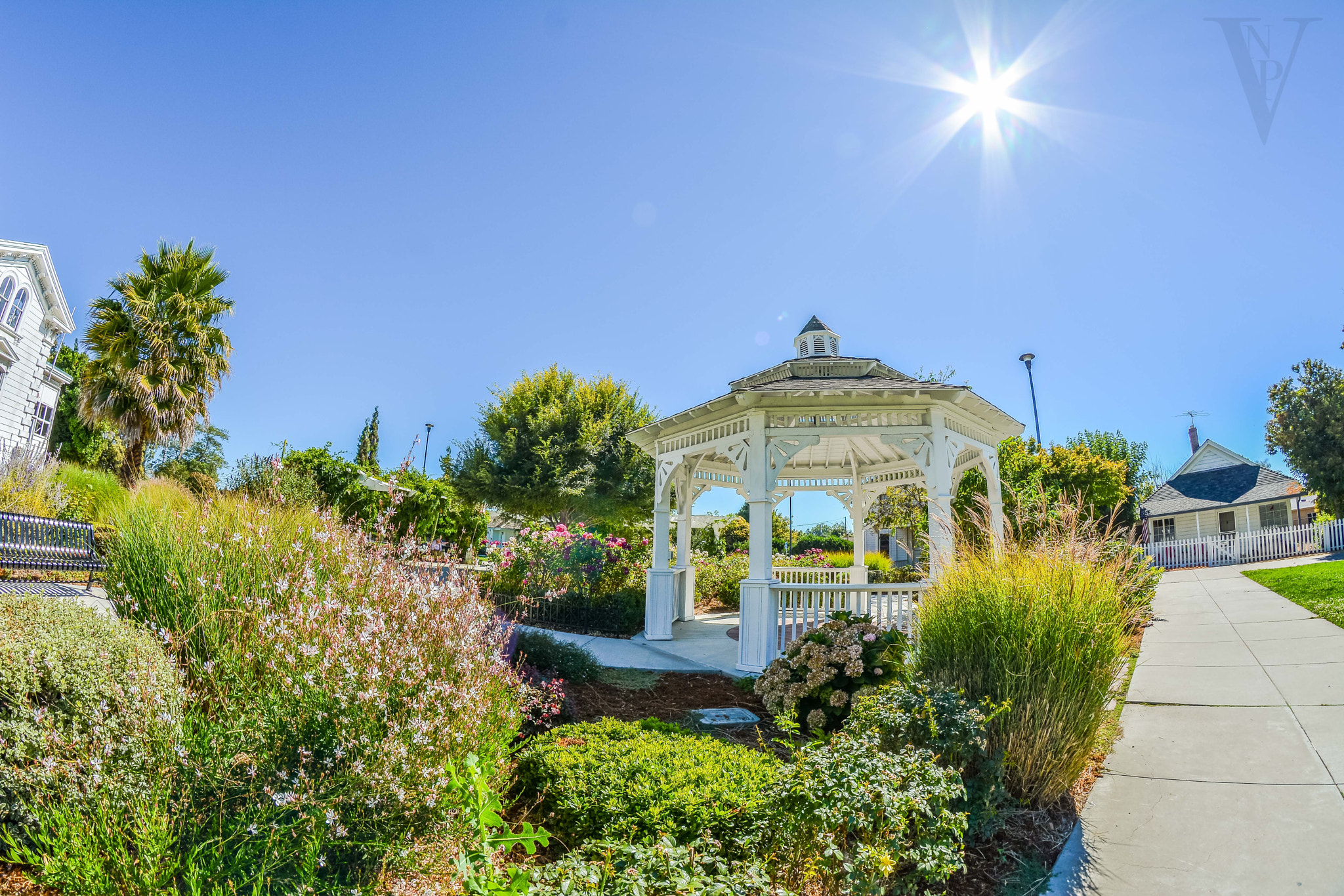 Nikon D5200 + Samyang 8mm F3.5 Aspherical IF MC Fisheye sample photo. Meekland park photography