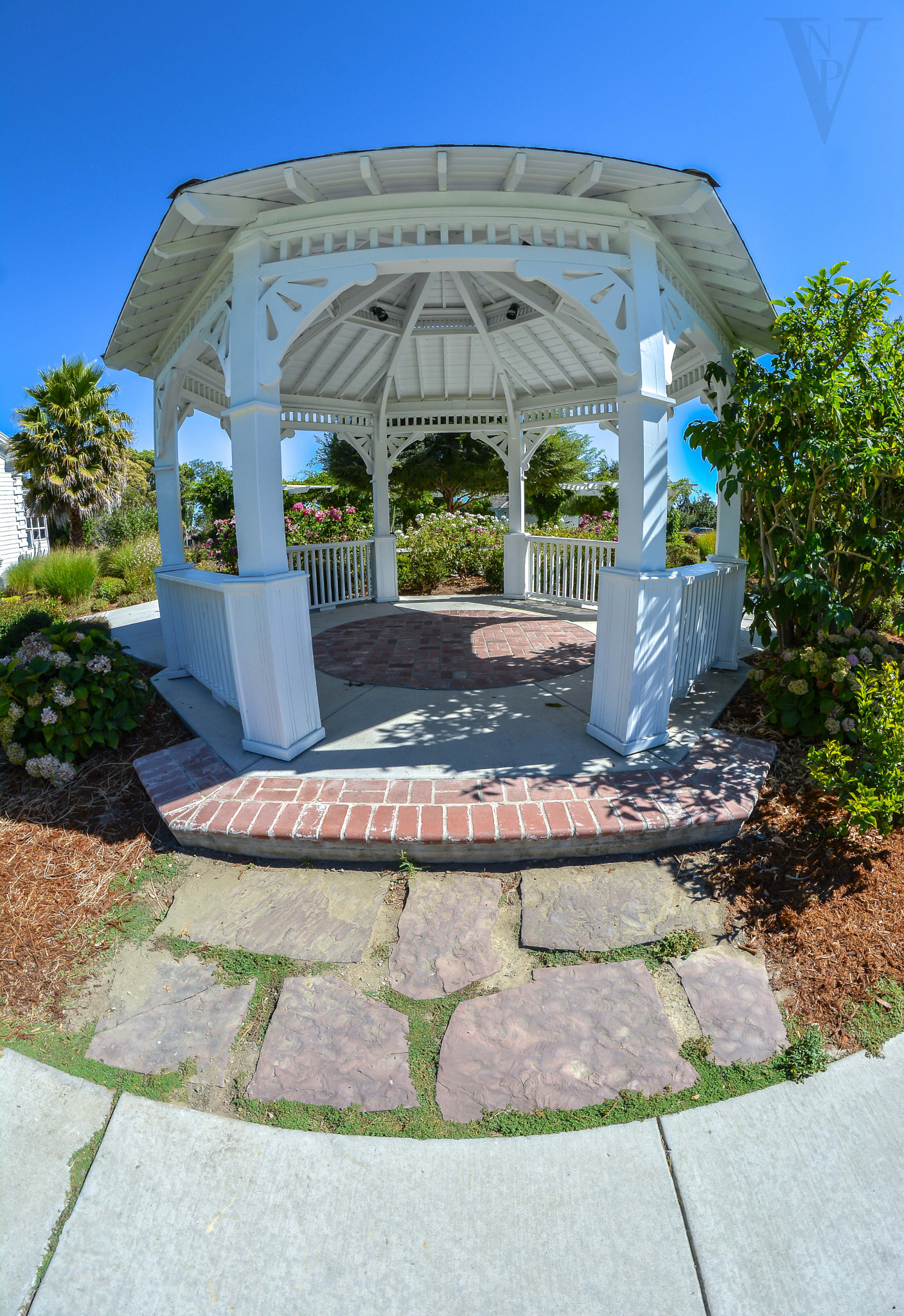 Nikon D5200 + Samyang 8mm F3.5 Aspherical IF MC Fisheye sample photo. Meekland park photography