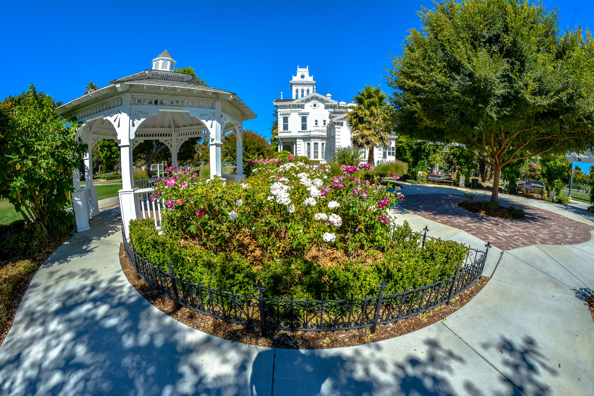 Nikon D5200 + Samyang 8mm F3.5 Aspherical IF MC Fisheye sample photo. Meekland park photography