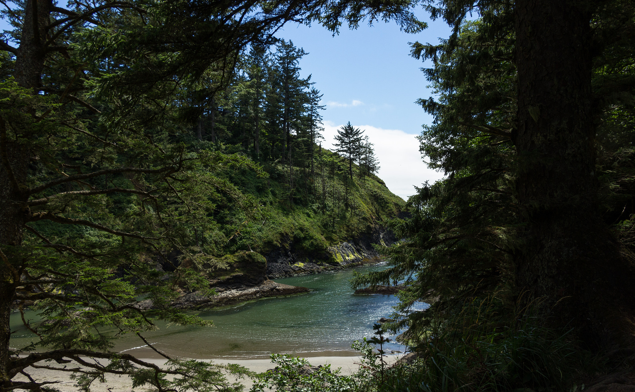 Canon EOS 550D (EOS Rebel T2i / EOS Kiss X4) sample photo. Dead mans cove photography