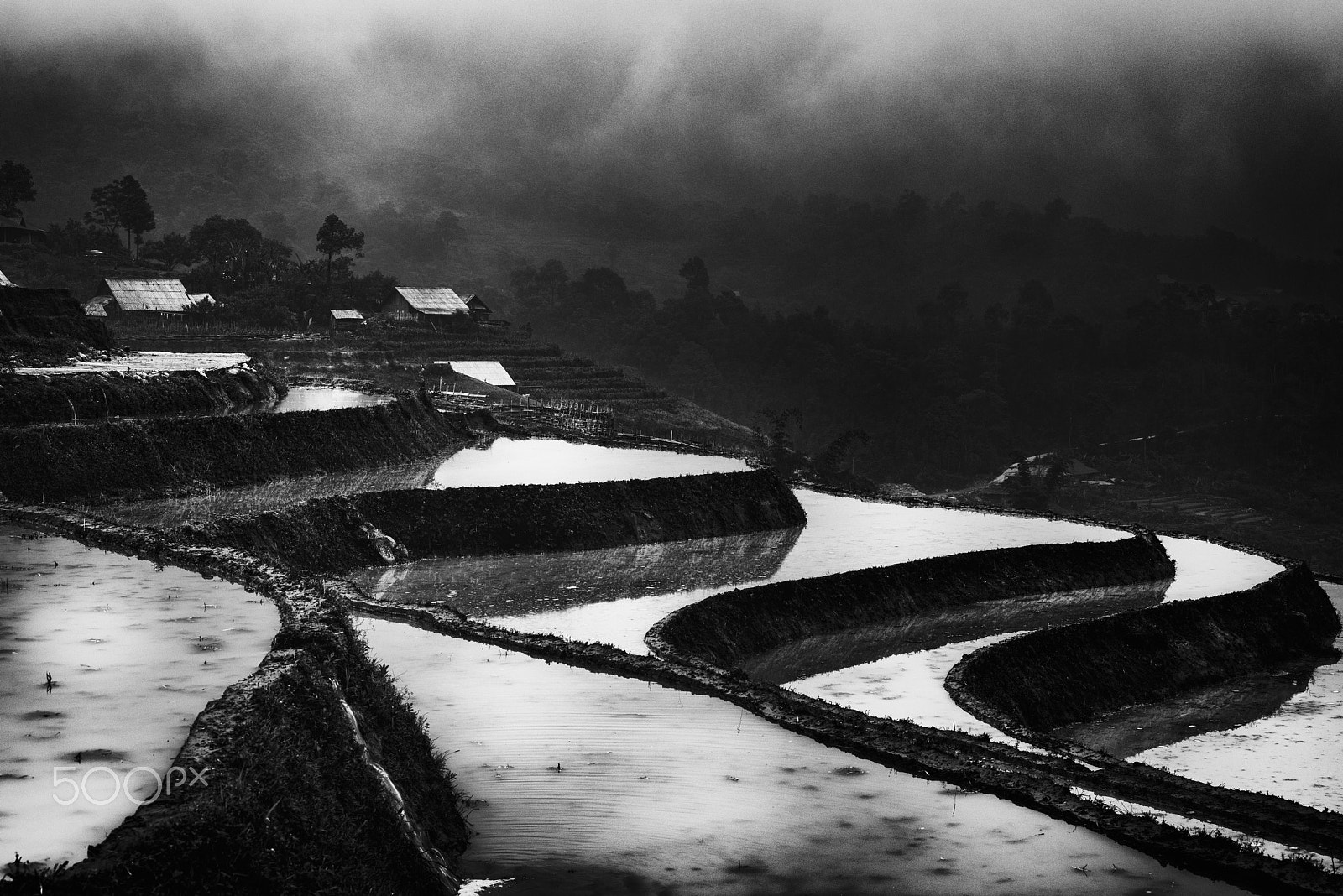 Nikon D810 + ZEISS Otus 55mm F1.4 sample photo. Vietnam rice fields photography