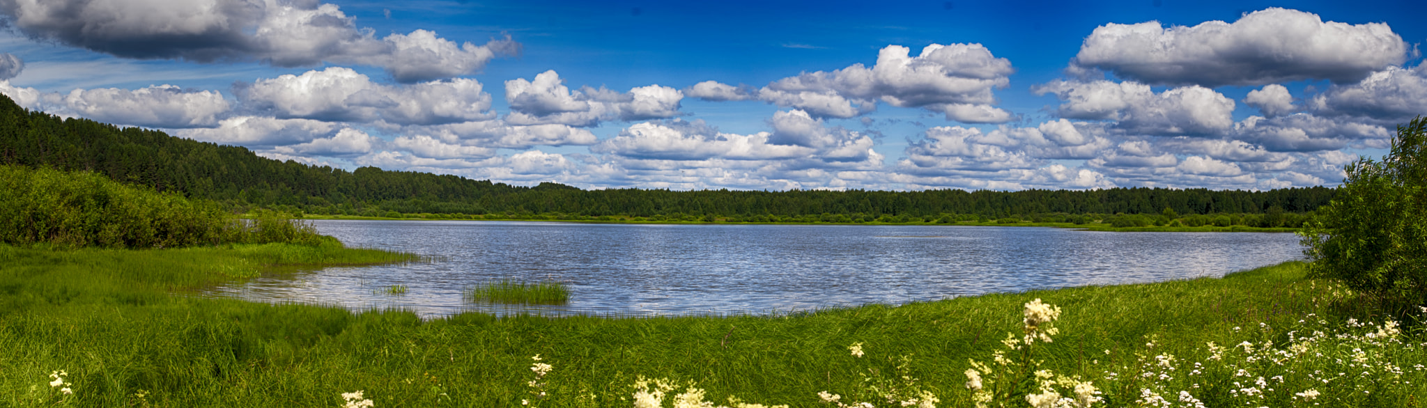 AF Zoom-Nikkor 35-70mm f/3.3-4.5 N sample photo. Панорама без названия photography
