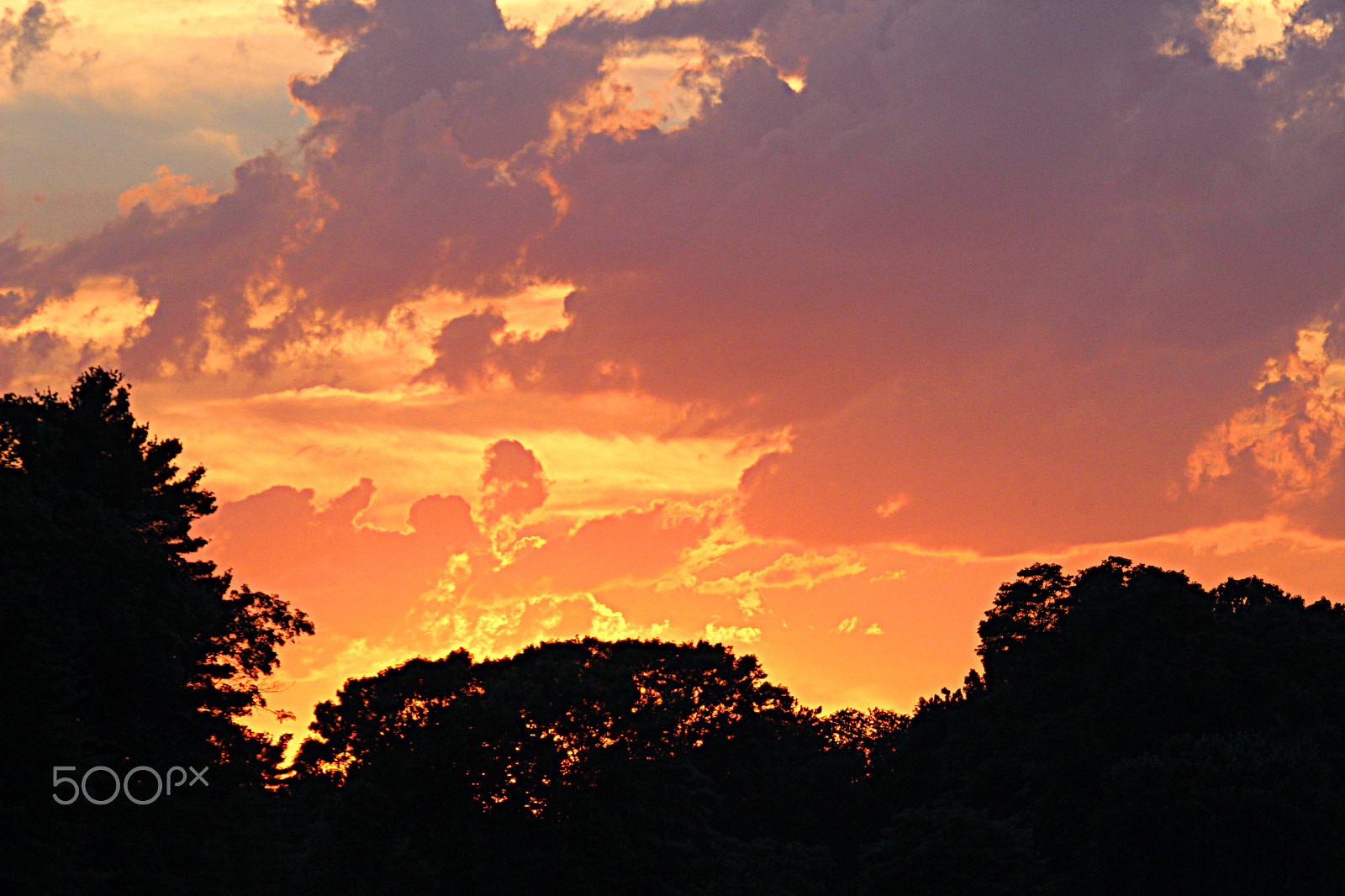 55.0 - 250.0 mm sample photo. Sunset paint photography