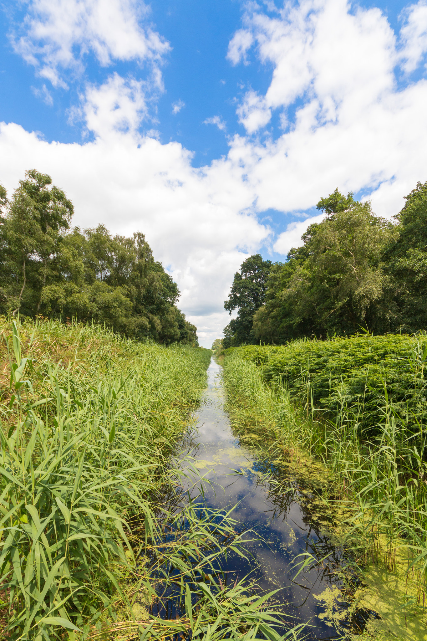 Sigma 8-16mm F4.5-5.6 DC HSM sample photo. Holme lode photography