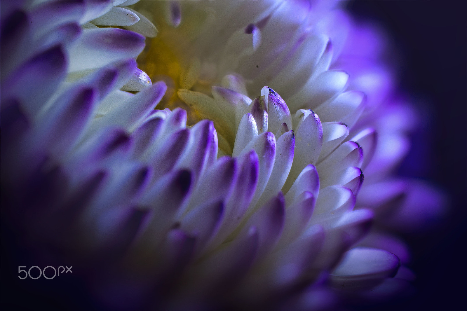 Nikon AF-S DX Micro Nikkor 40mm F2.8 sample photo. The edge of the universe photography